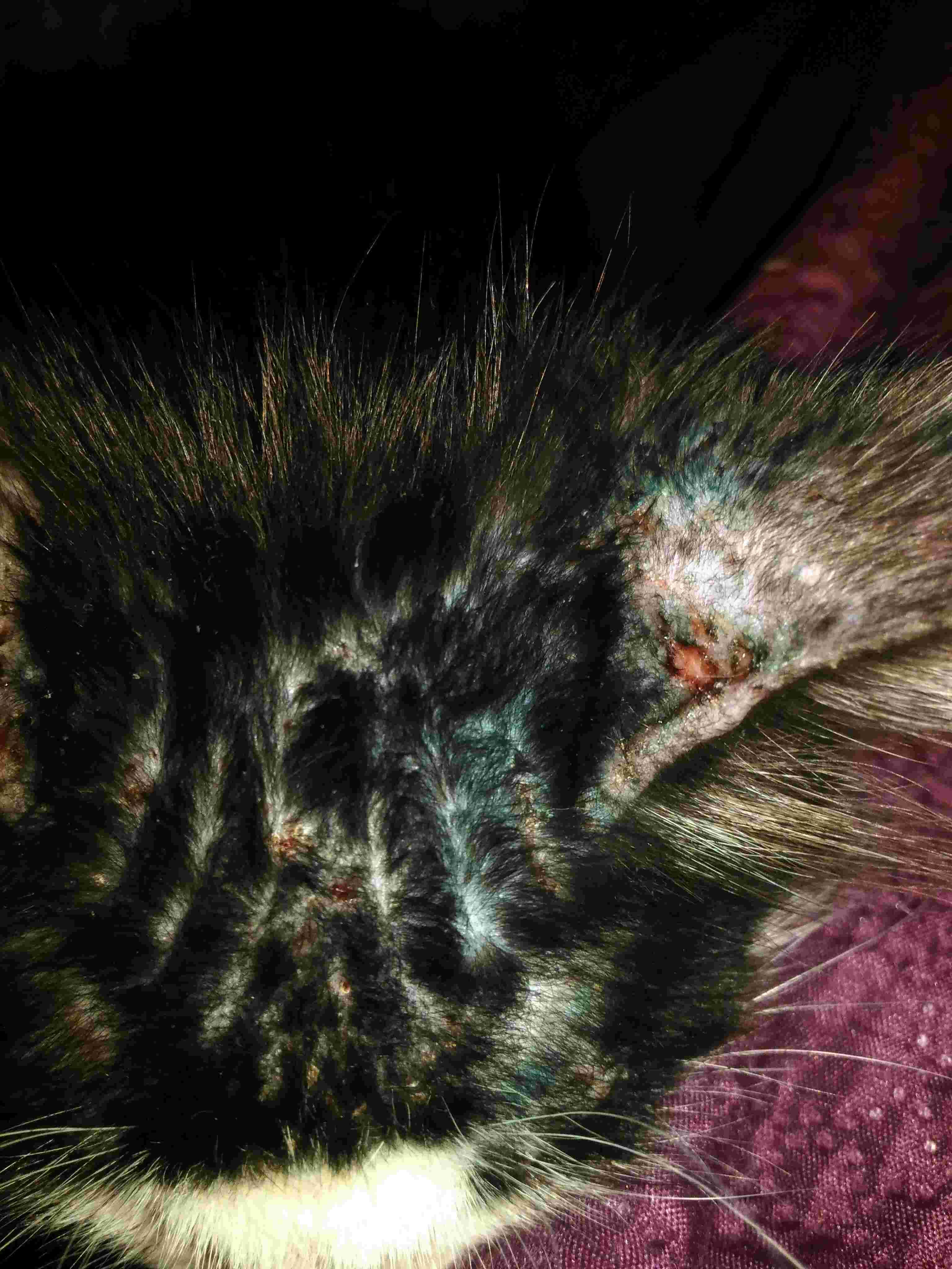 Question details sensitive content