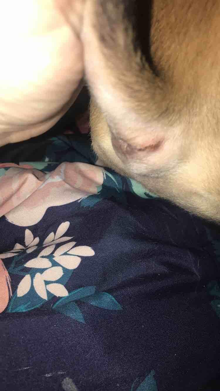 Question details sensitive content