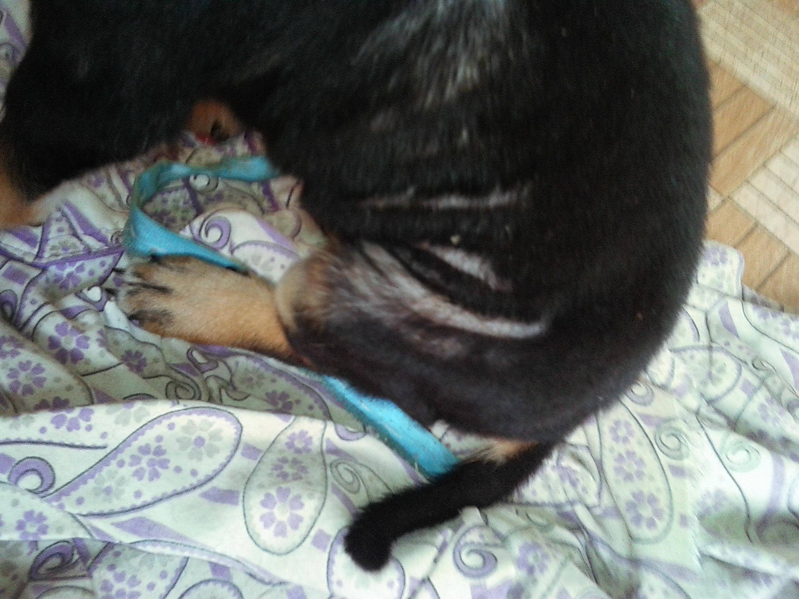 Question details sensitive content