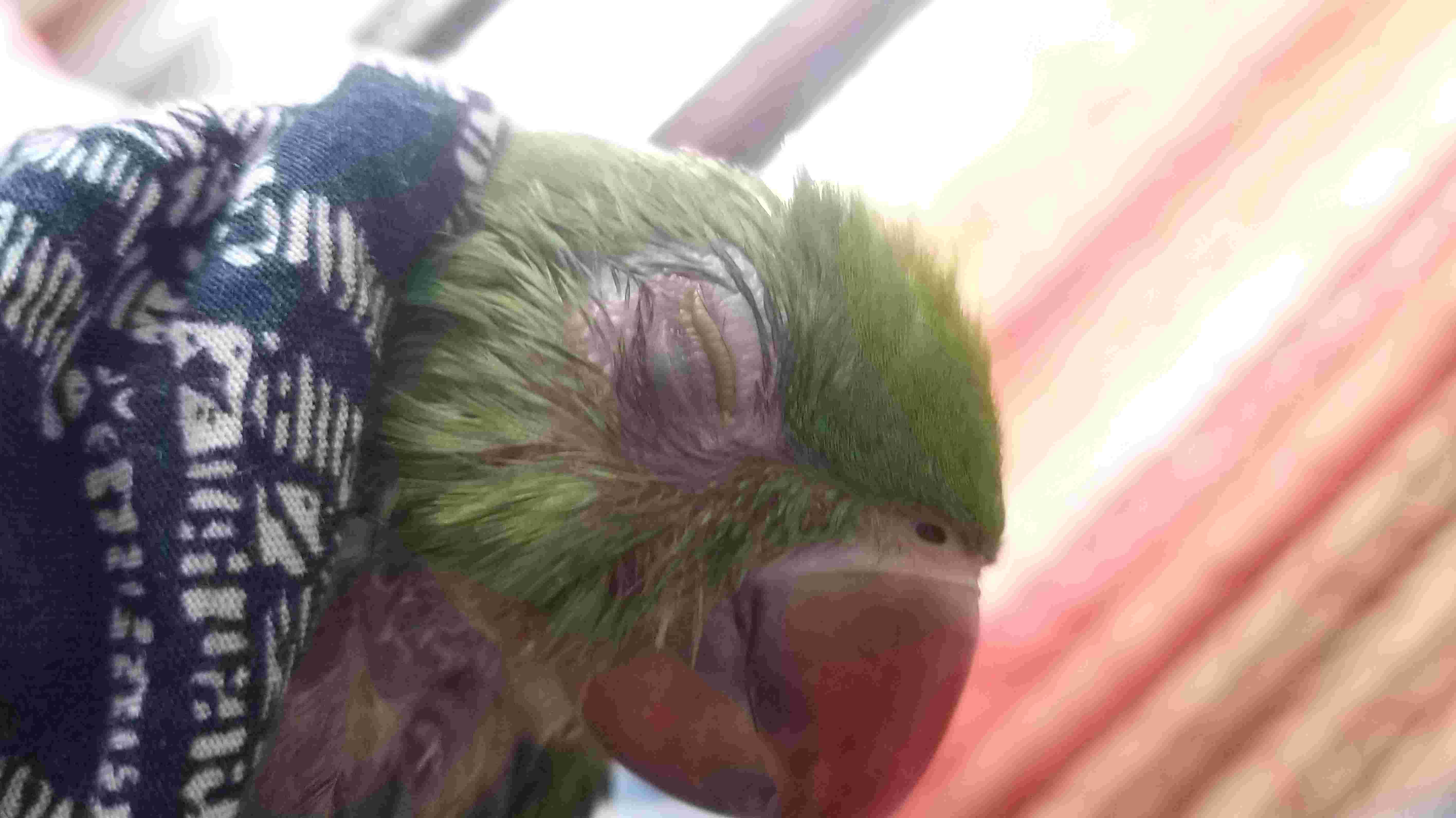 Question details sensitive content