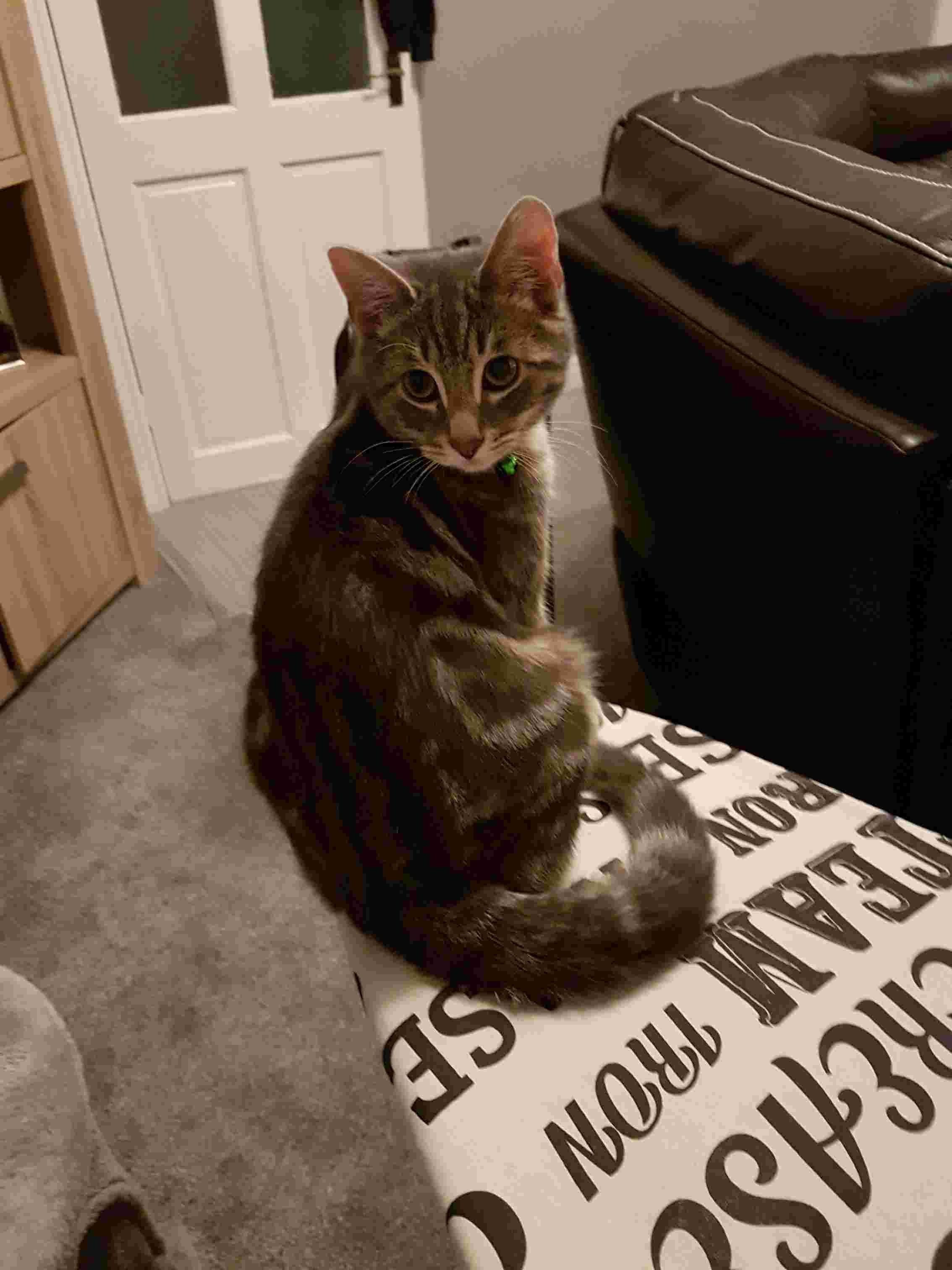 Question details sensitive content