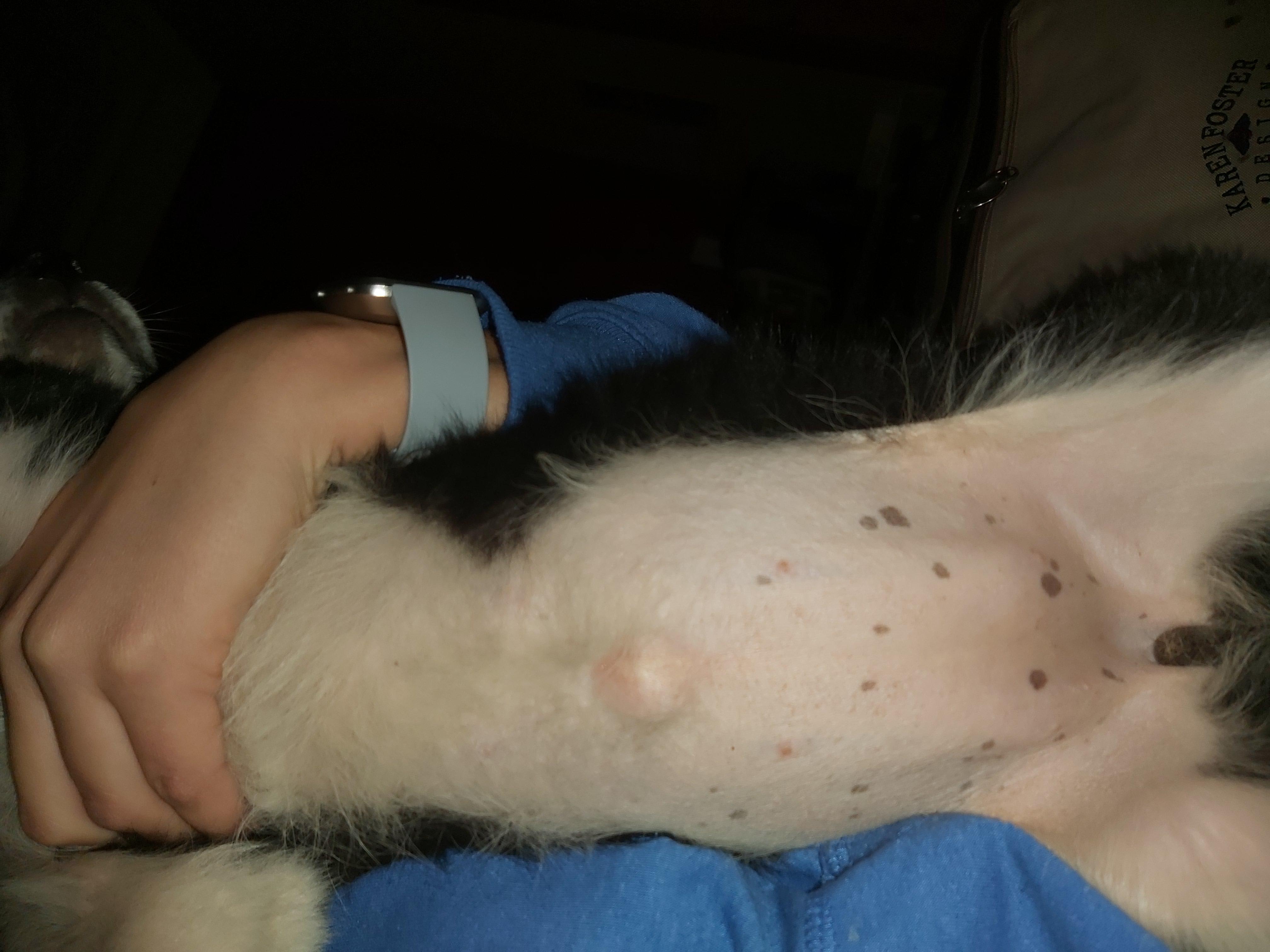 Question details sensitive content