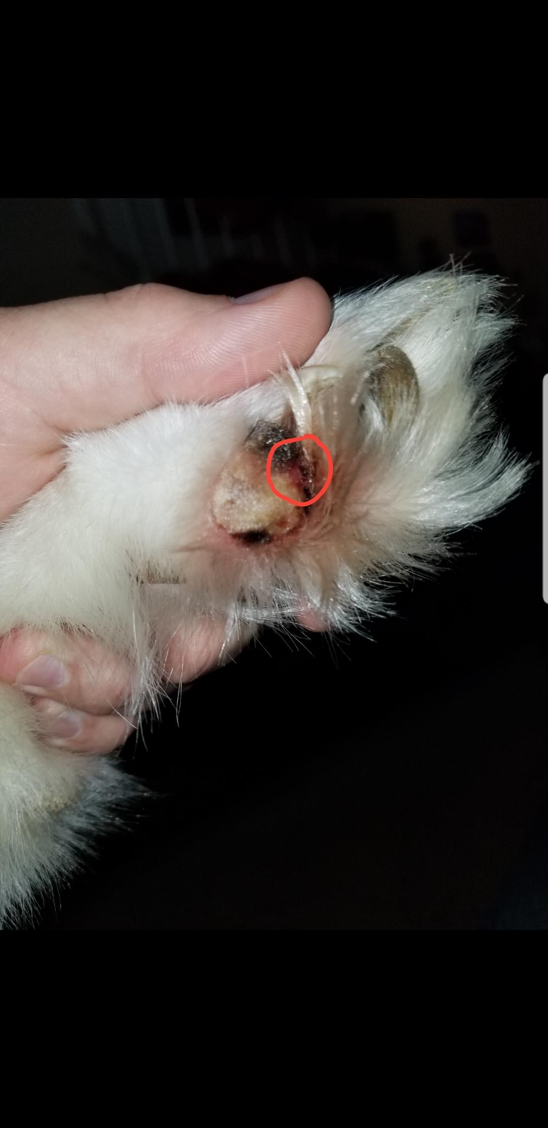 Question details sensitive content