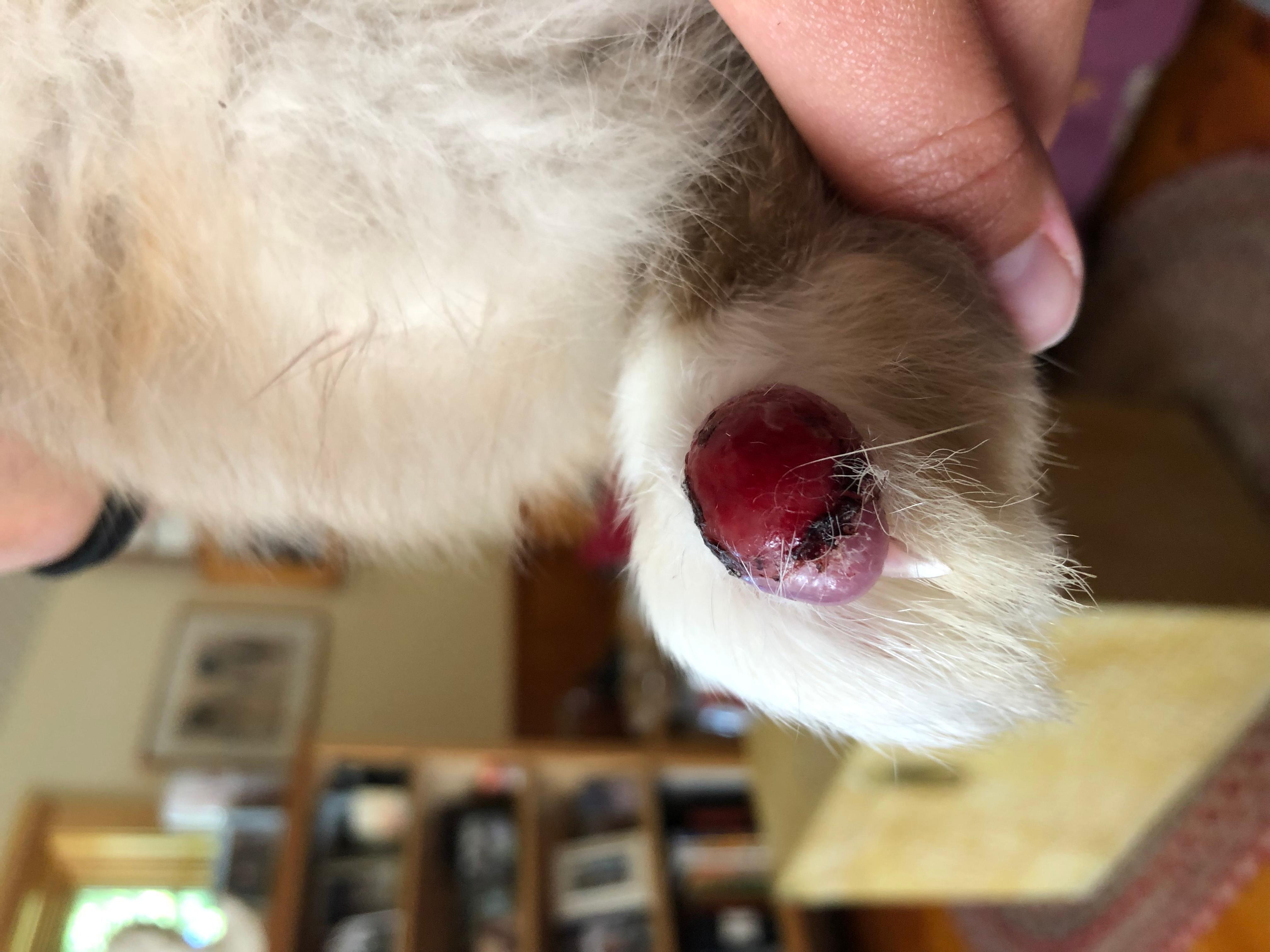 Question details sensitive content