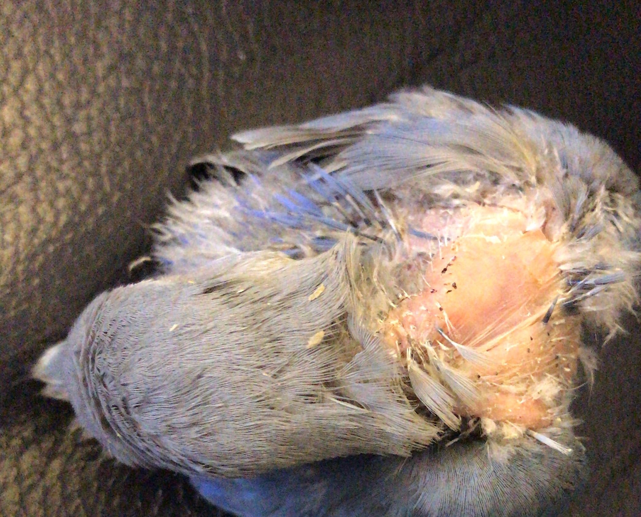 Question details sensitive content