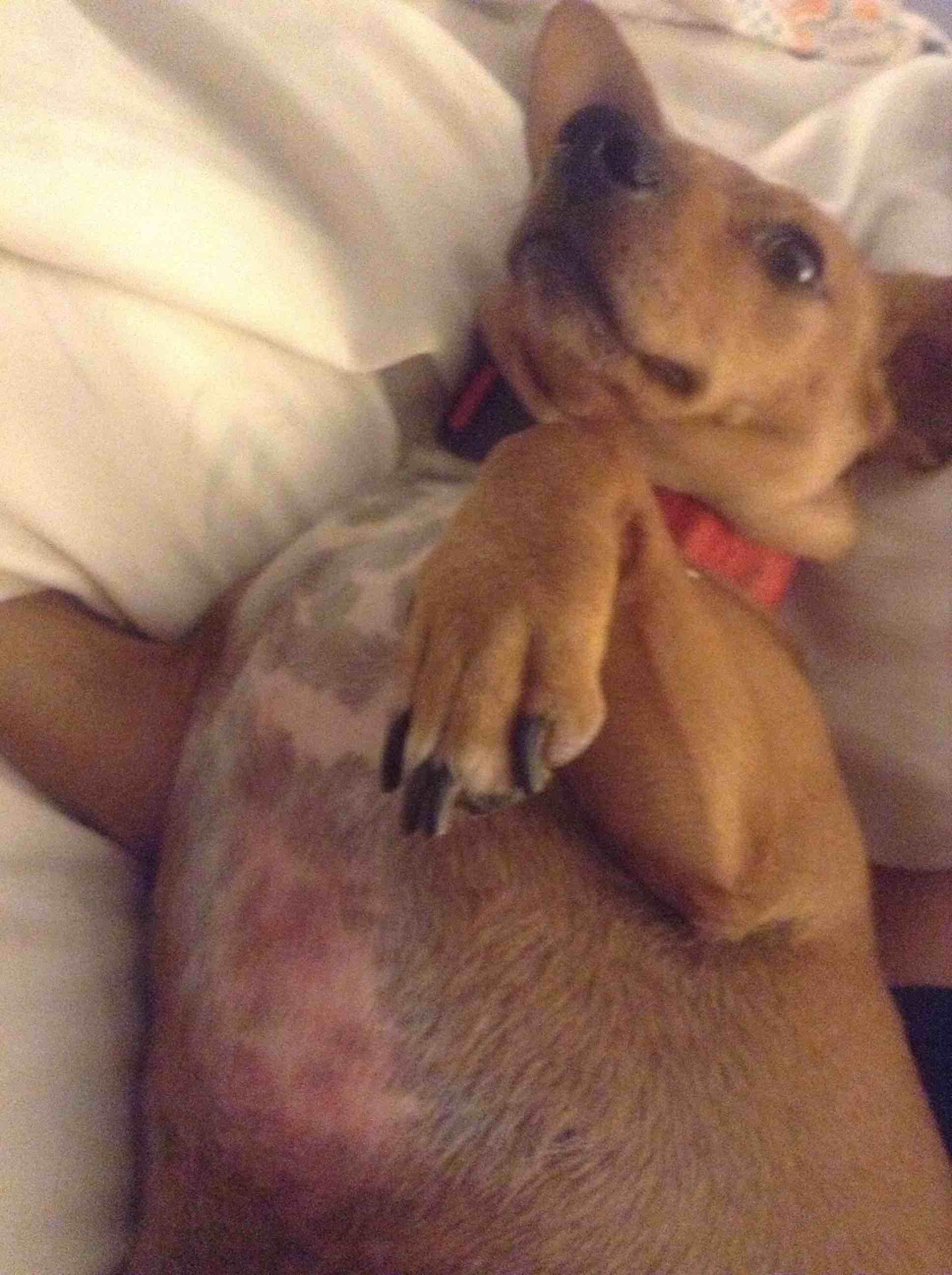 Question details sensitive content