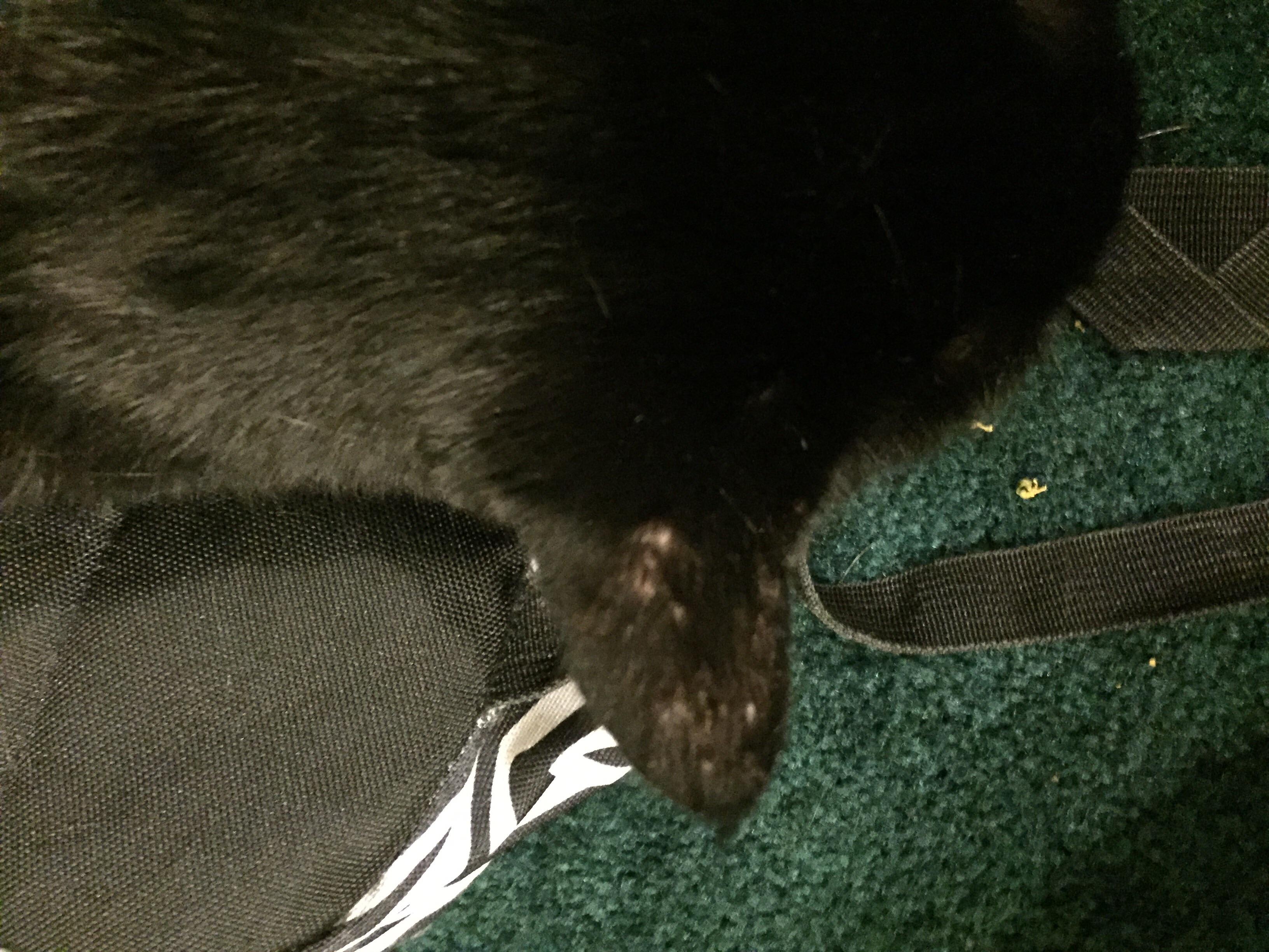 Question details sensitive content