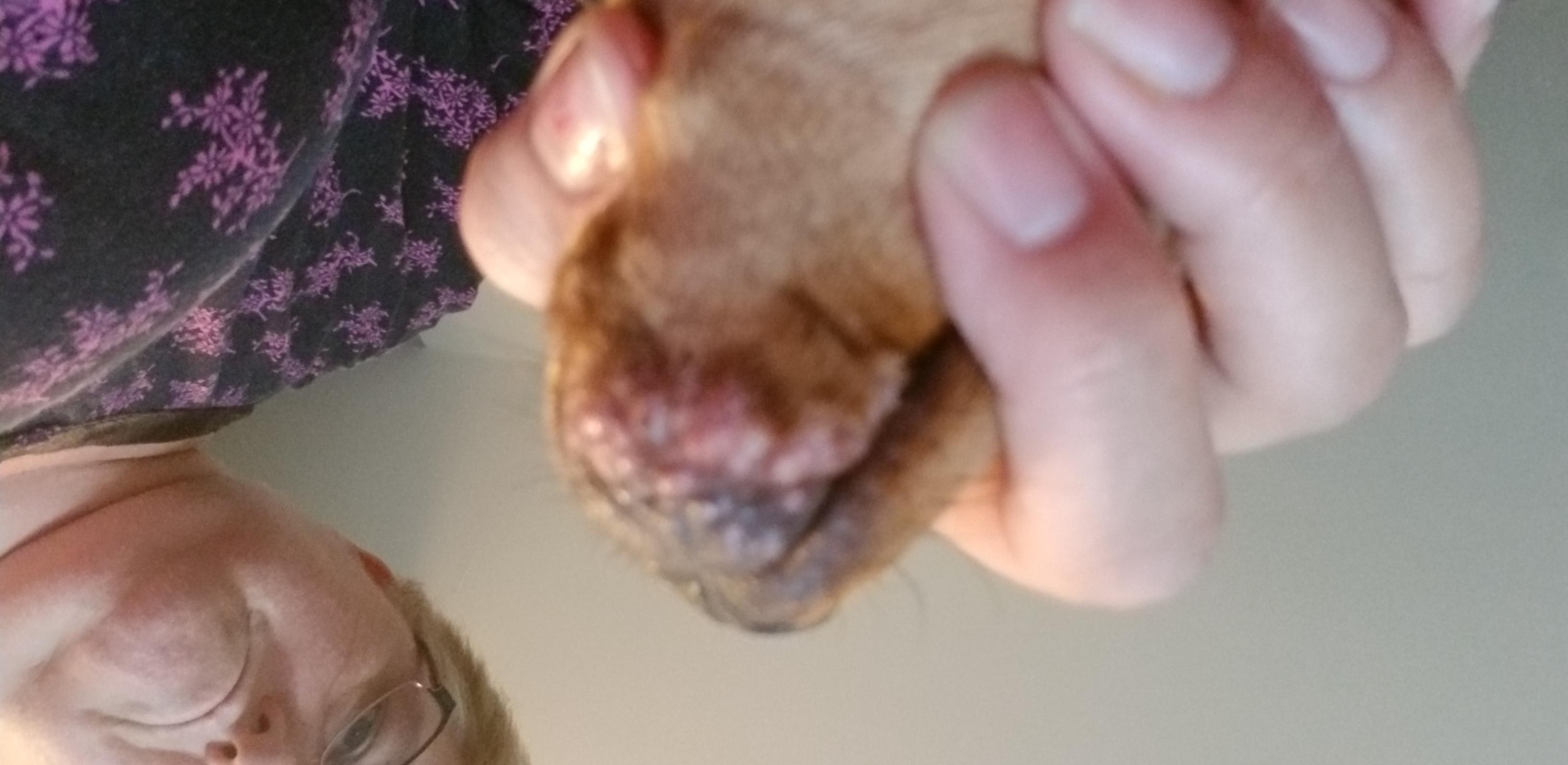 Question details sensitive content