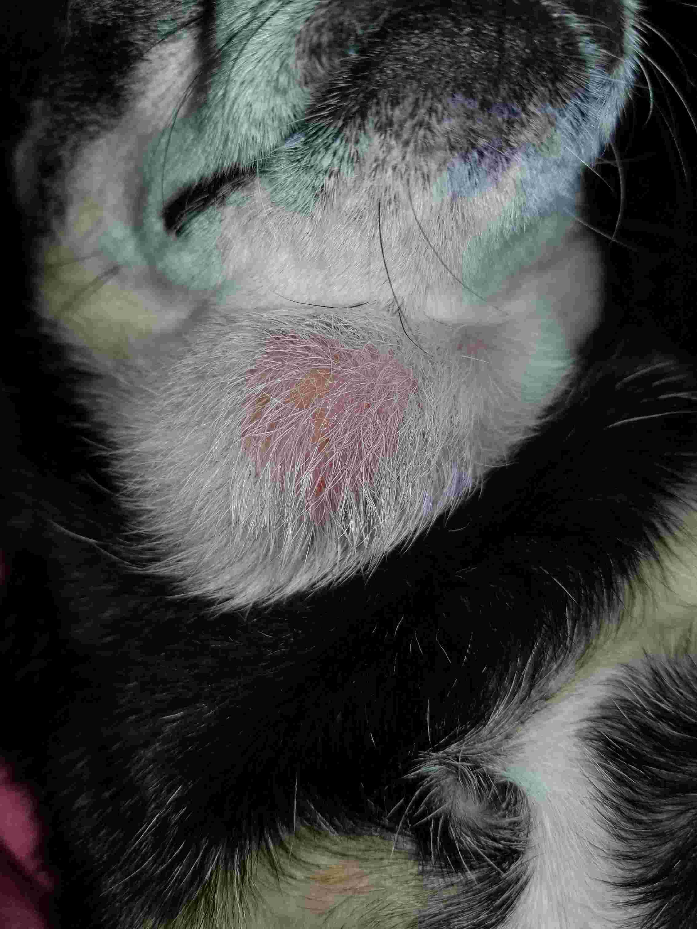 Question details sensitive content