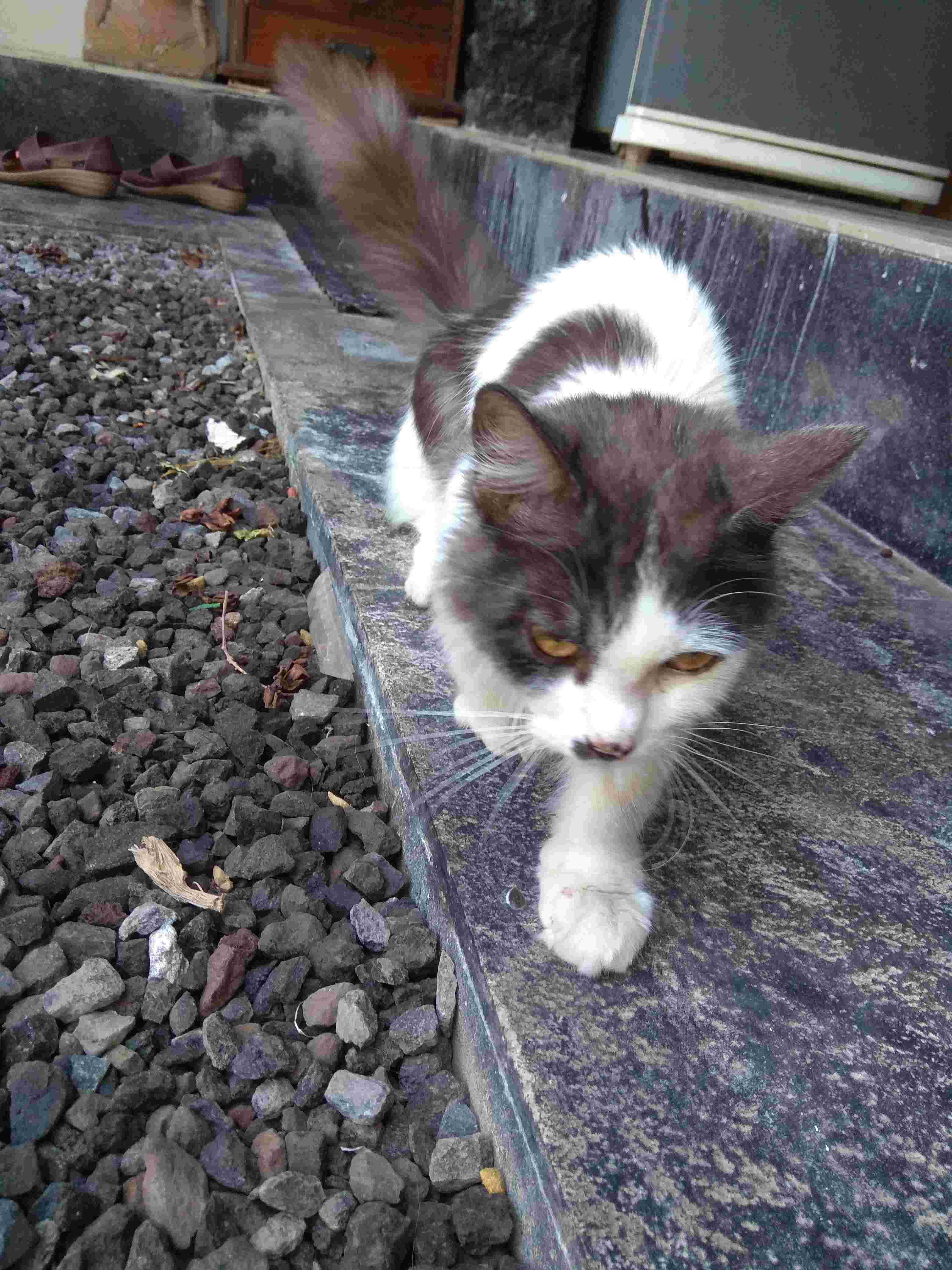 Question details sensitive content