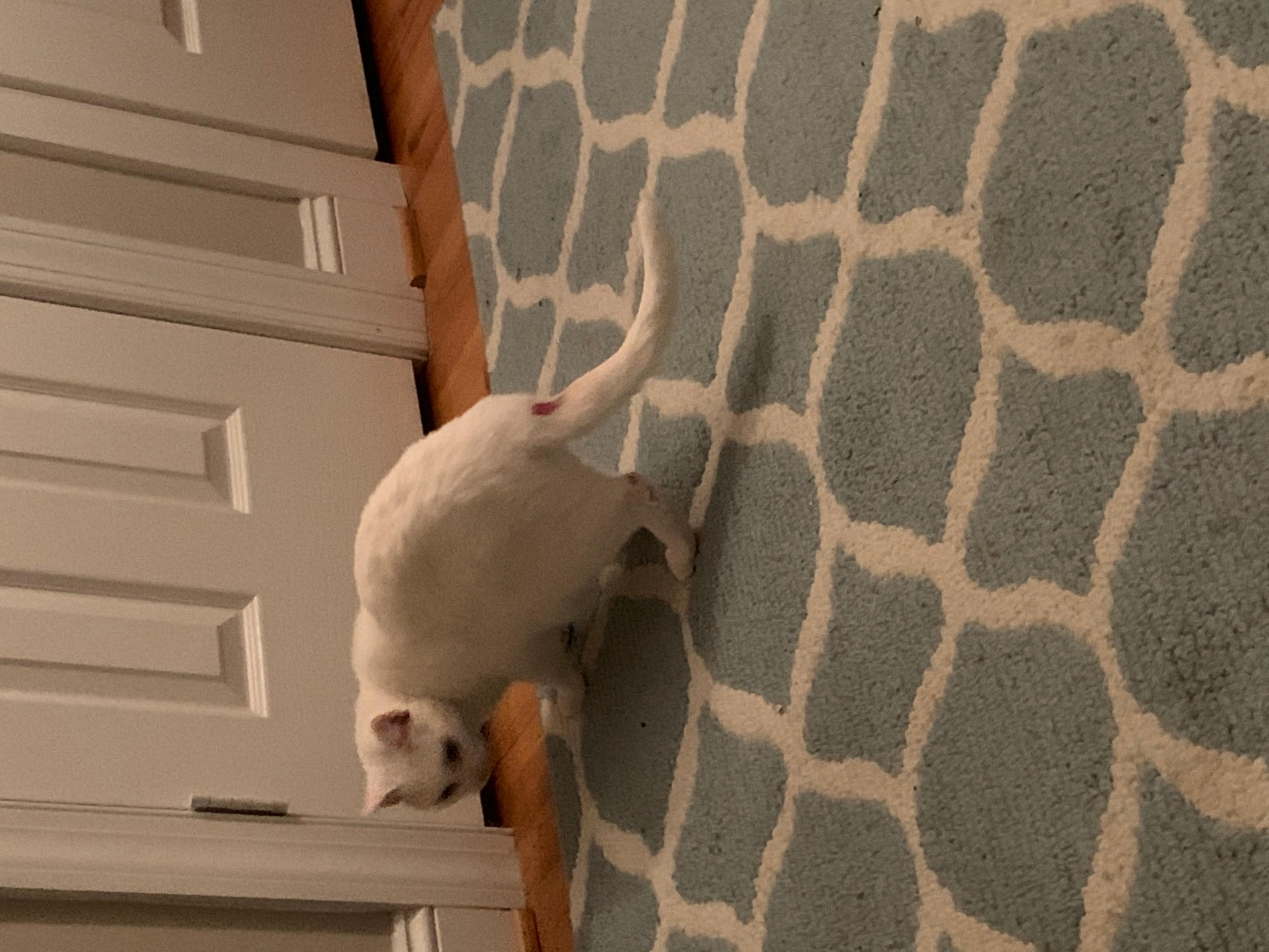 Question details sensitive content