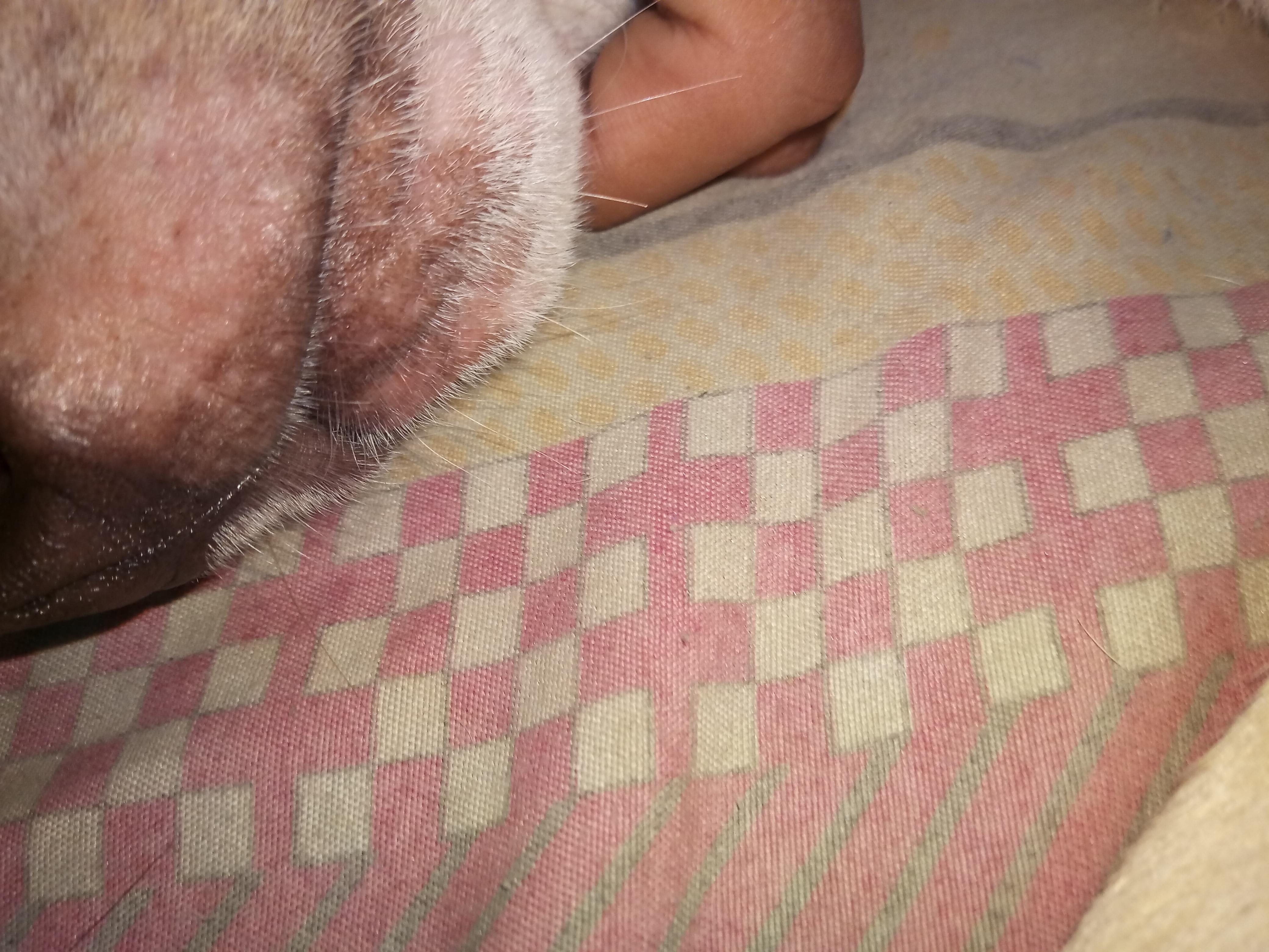 Question details sensitive content