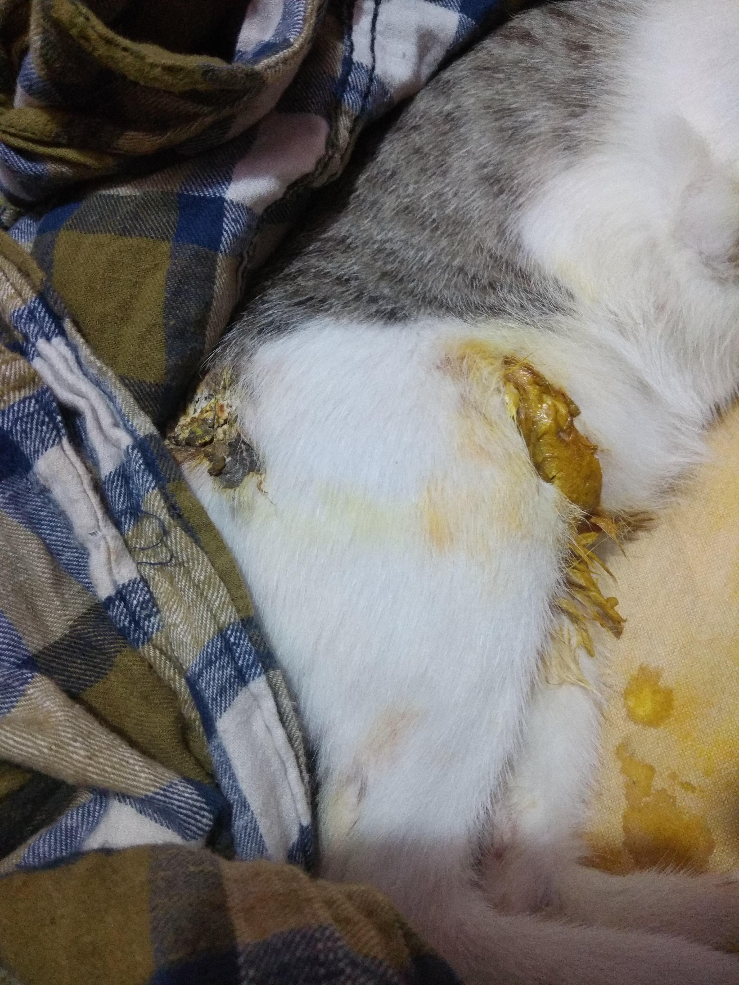 Question details sensitive content