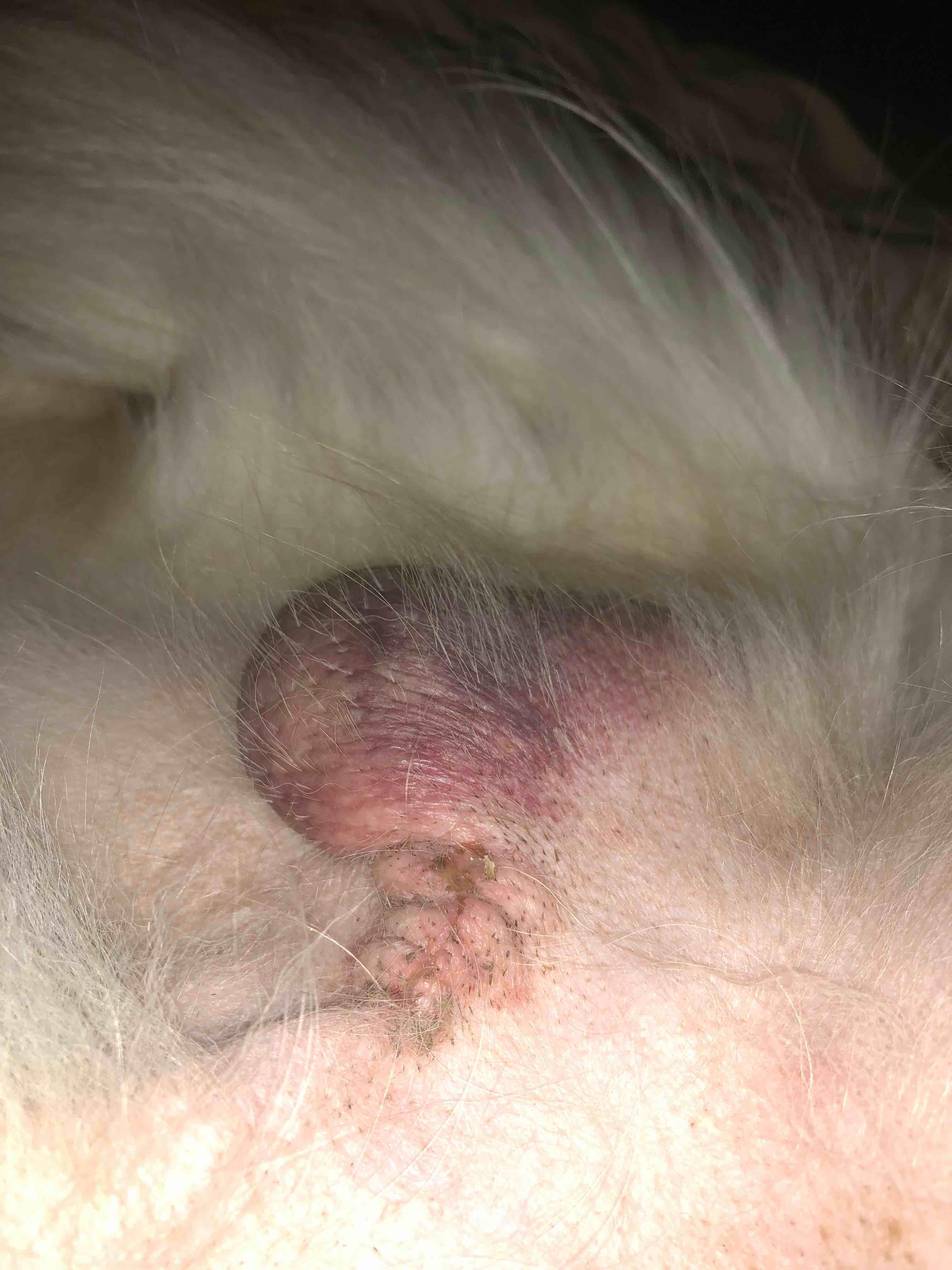 Question details sensitive content