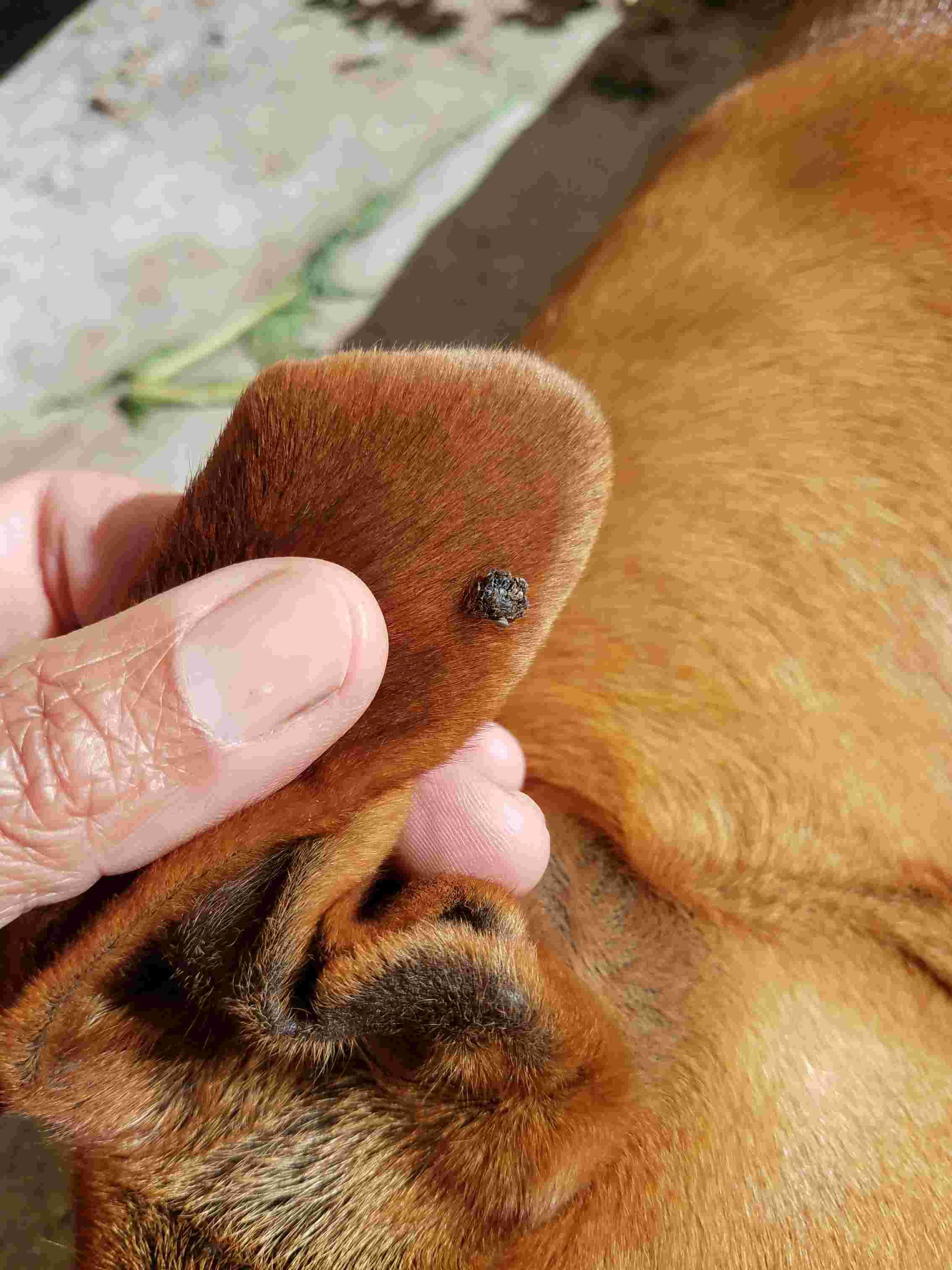 Question details sensitive content