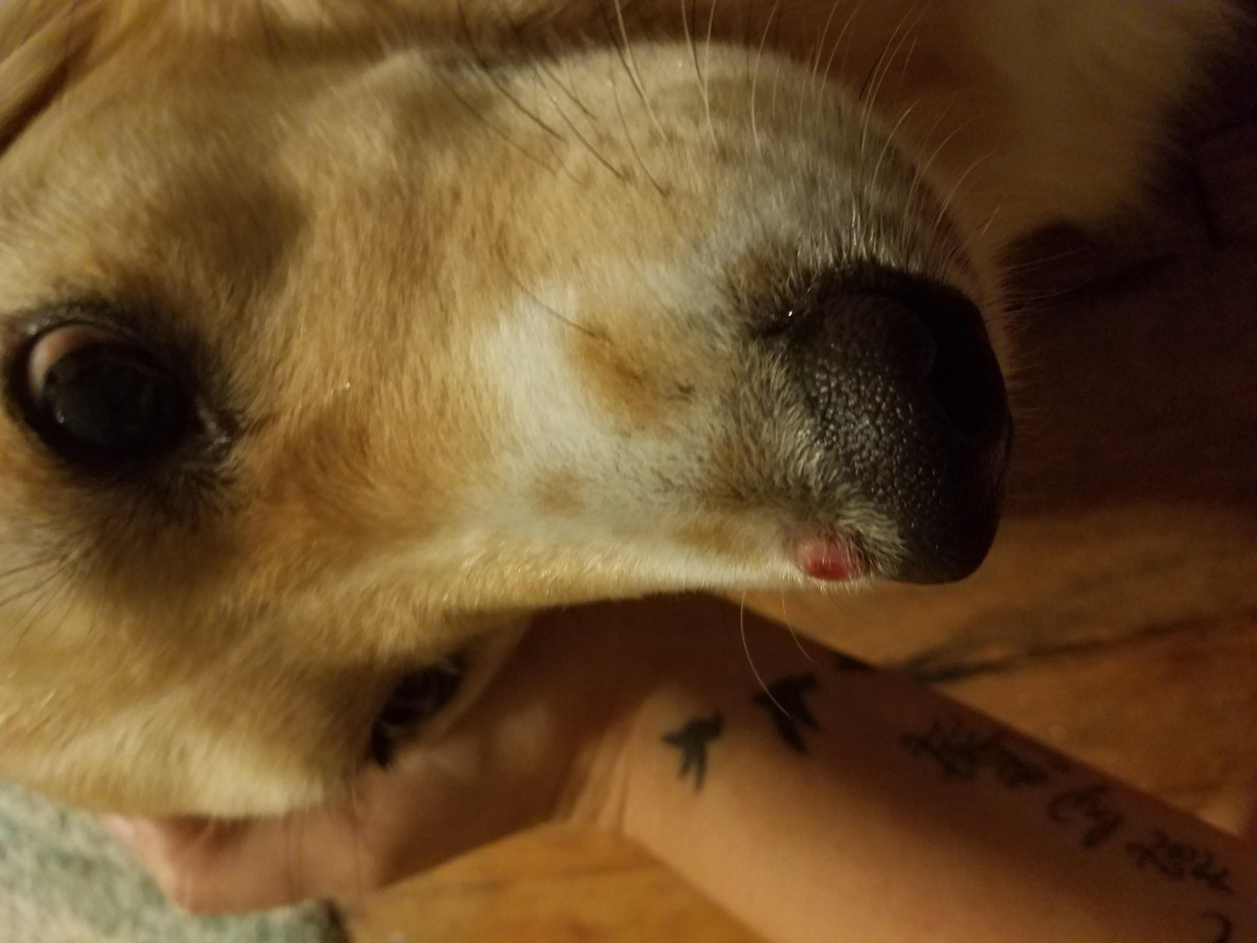 Question details sensitive content