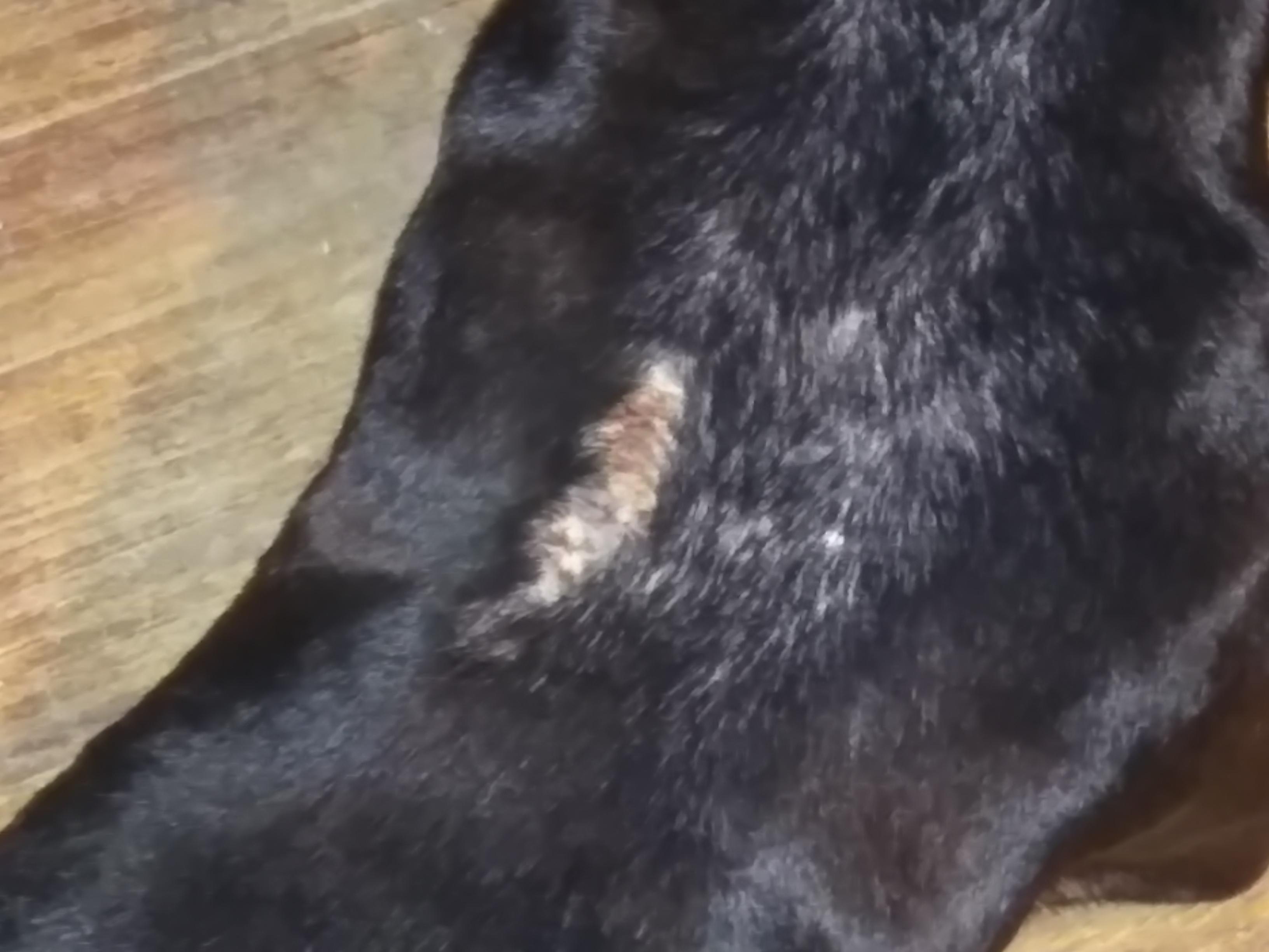 Question details sensitive content