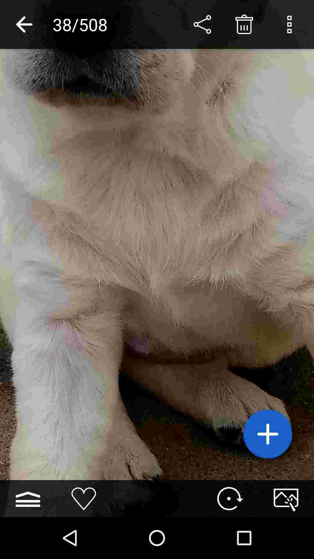 Question details sensitive content