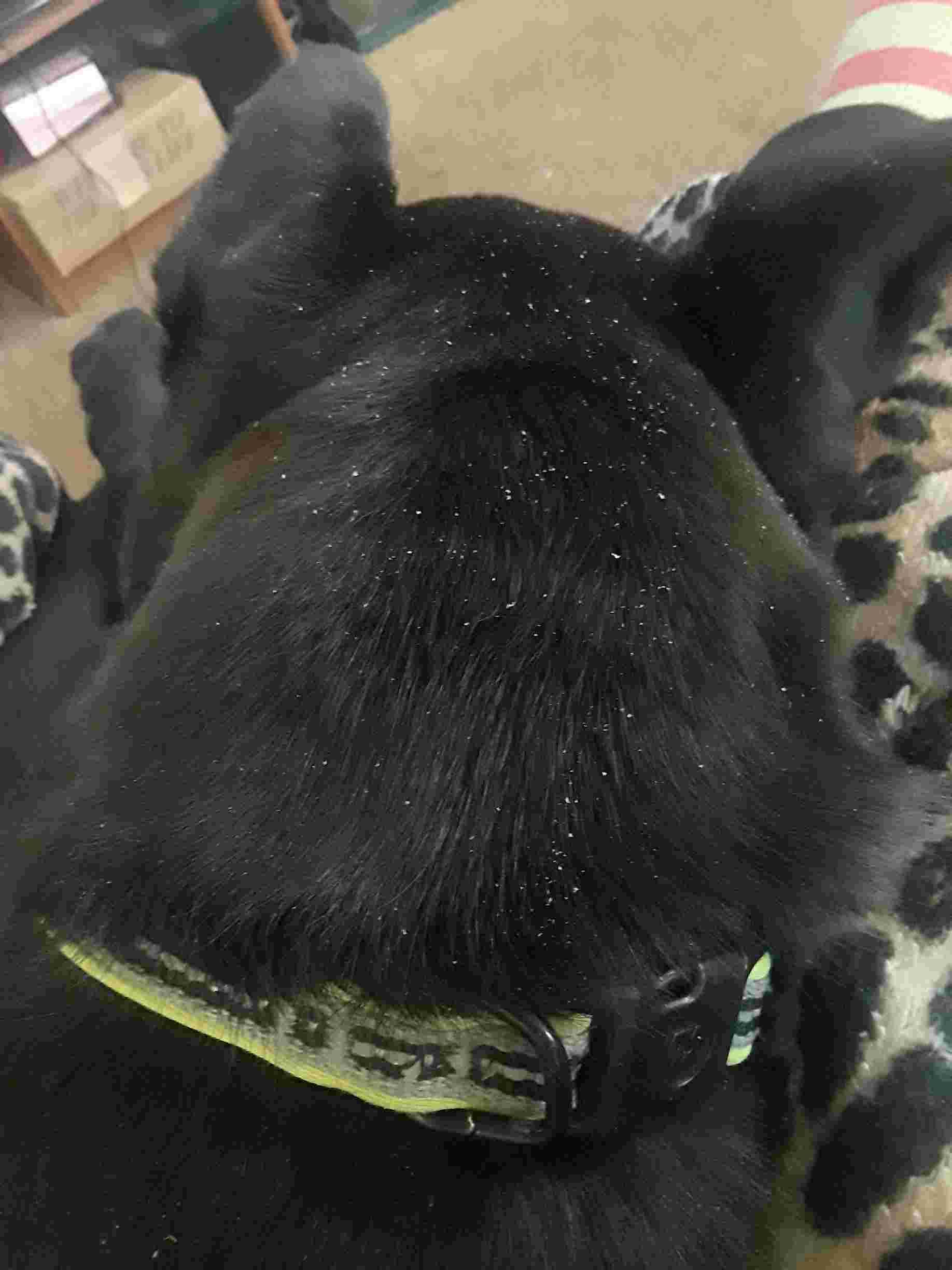 Question details sensitive content