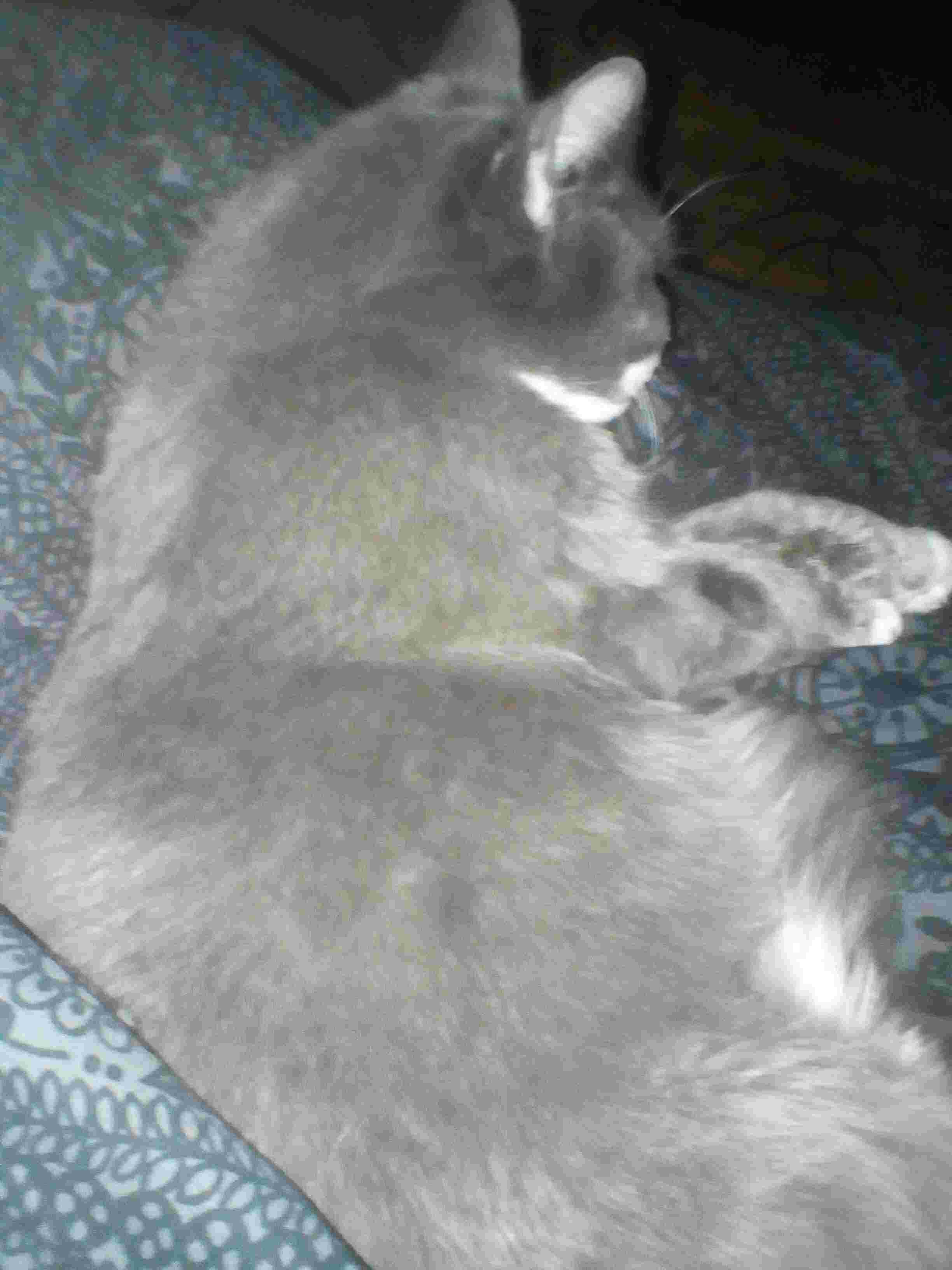 Question details sensitive content