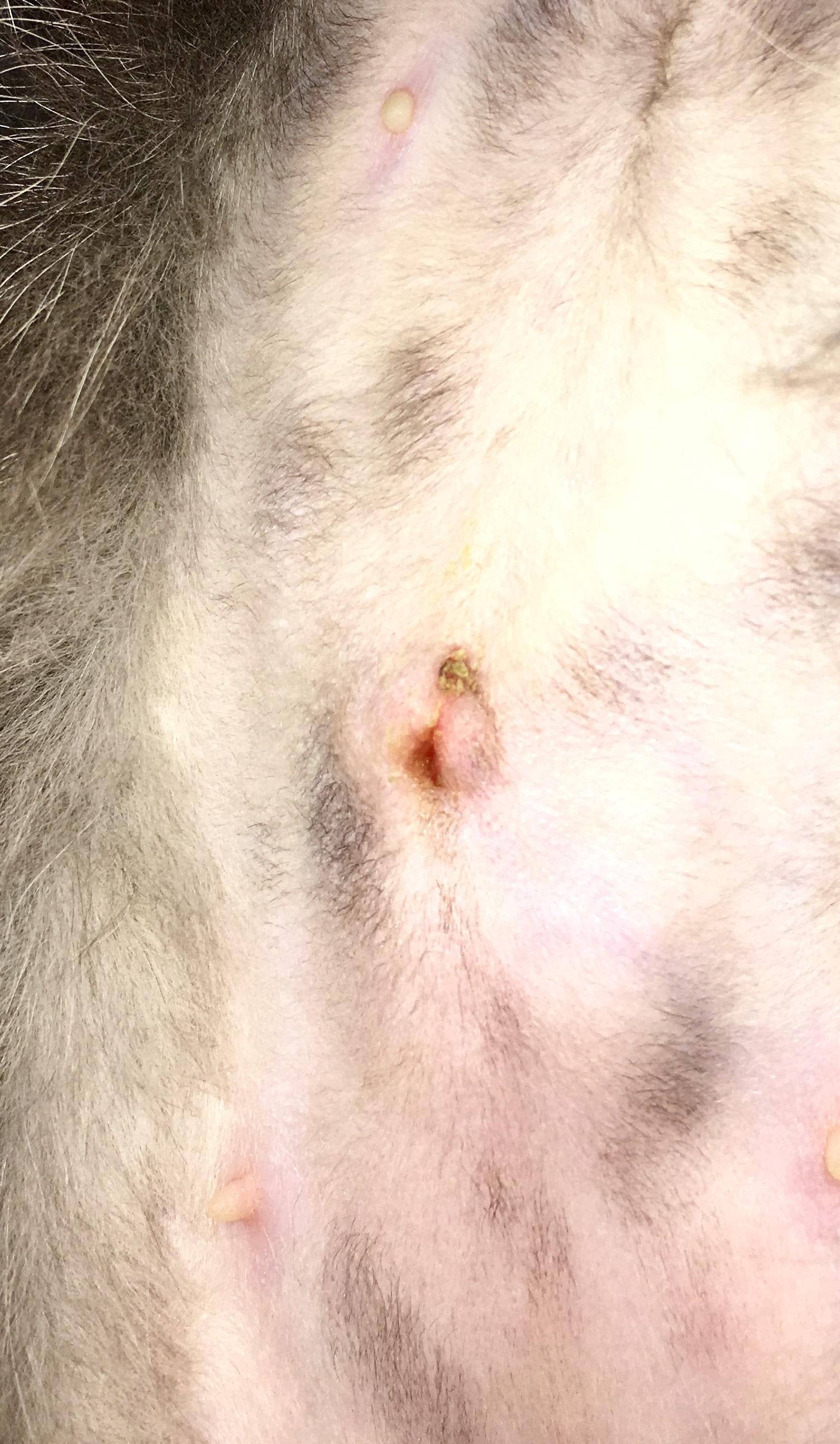 Question details sensitive content