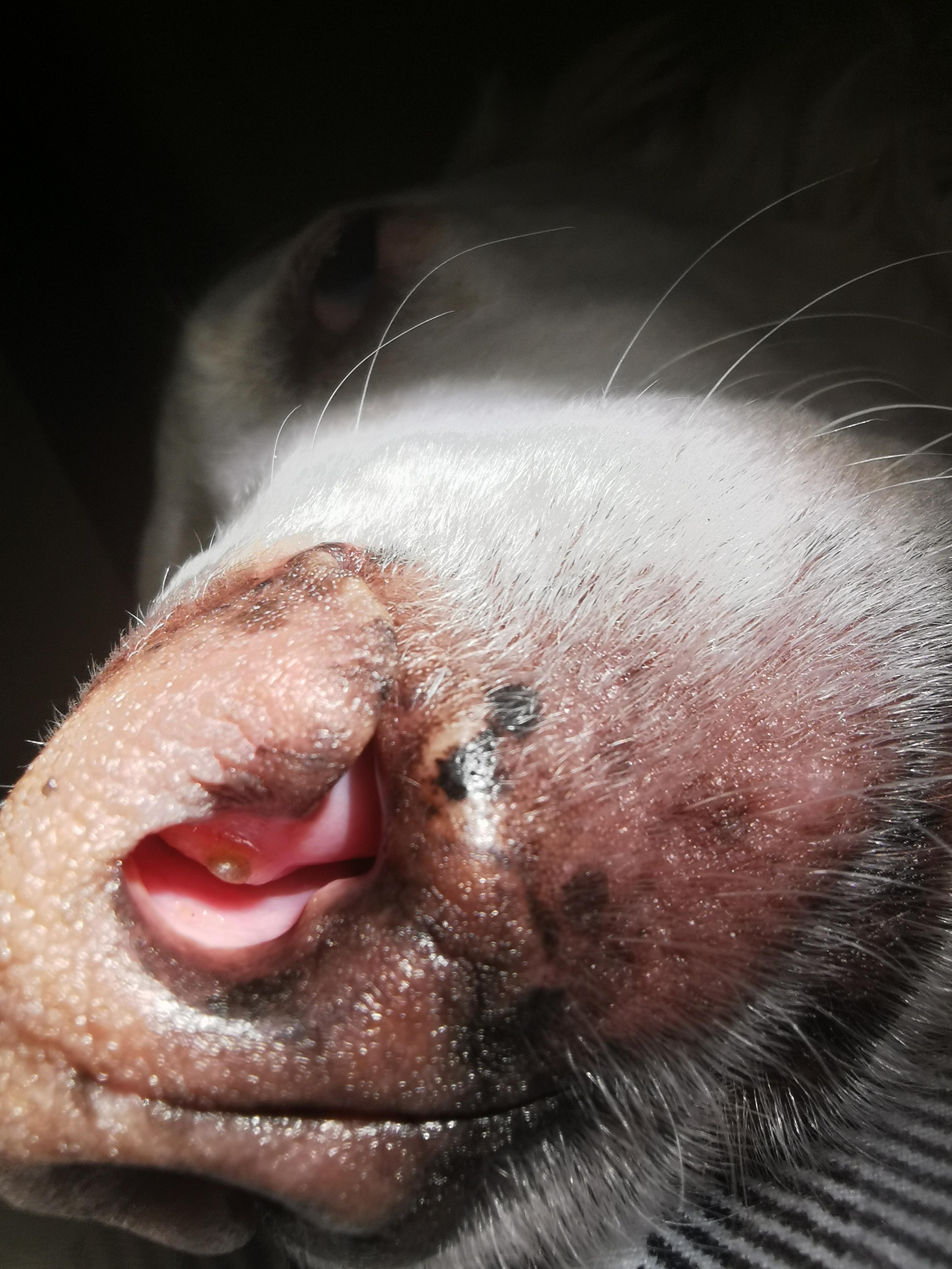 Question details sensitive content