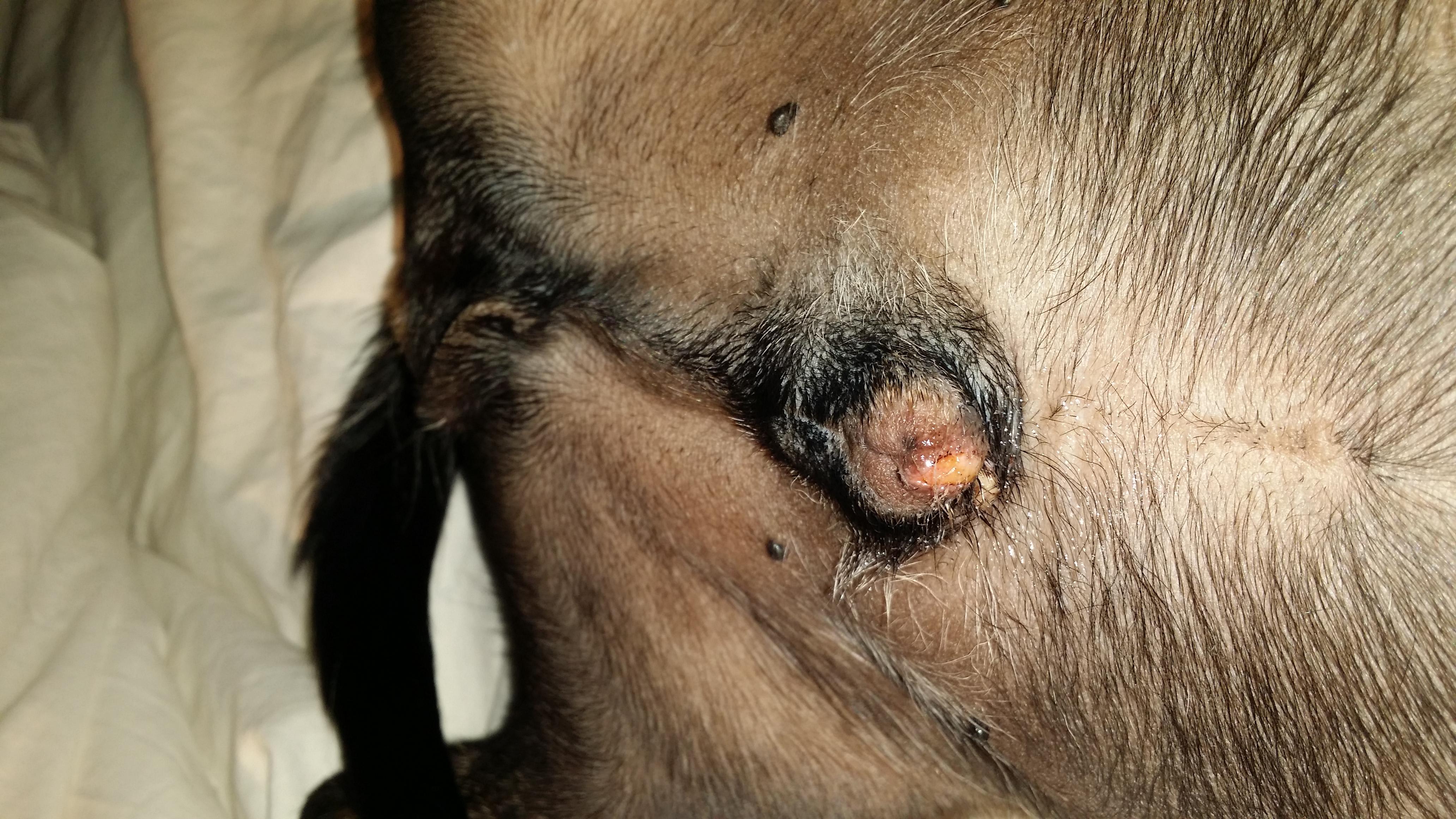 Question details sensitive content