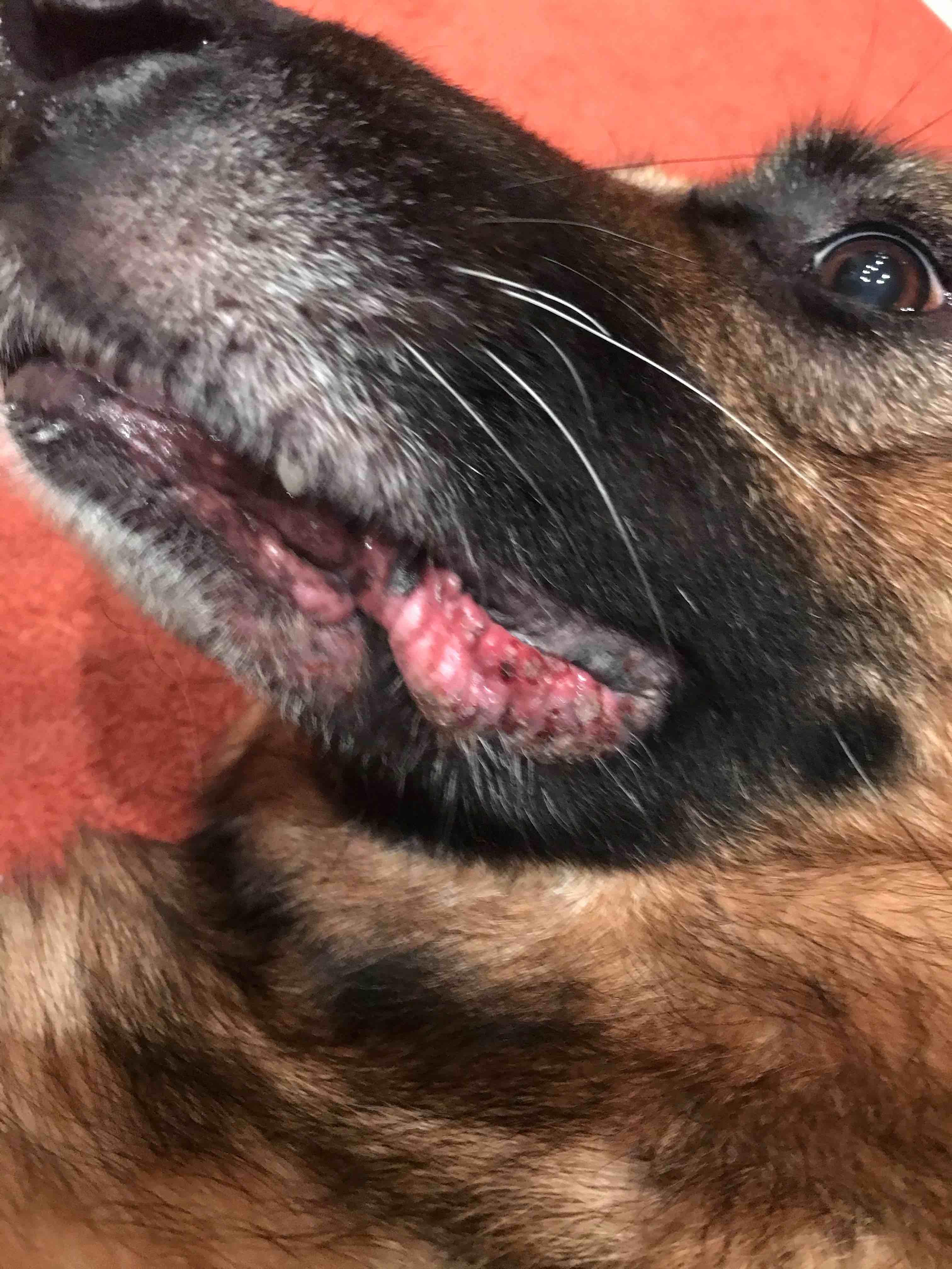 Question details sensitive content