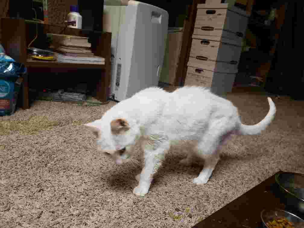 Question details sensitive content