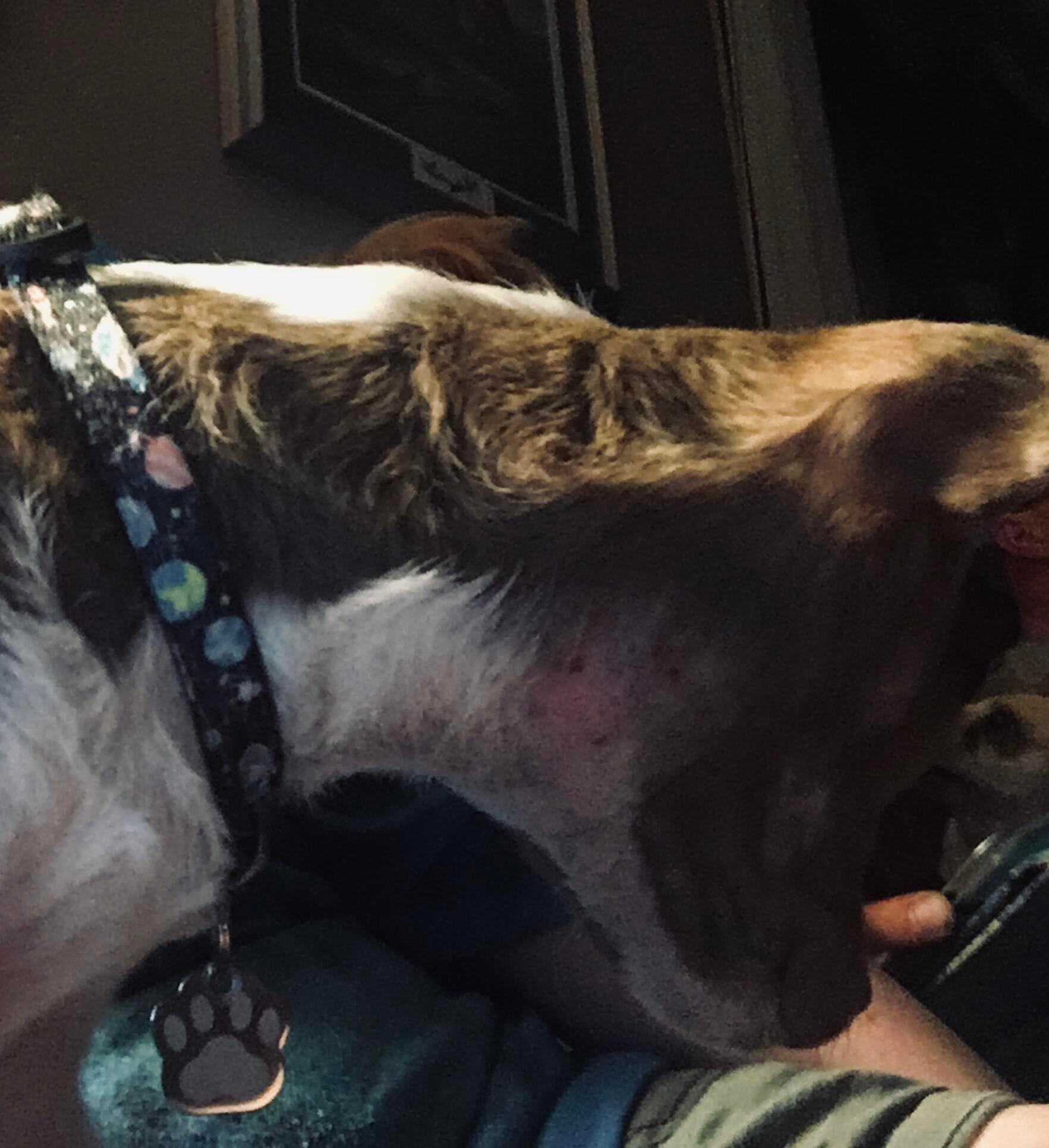 Question details sensitive content