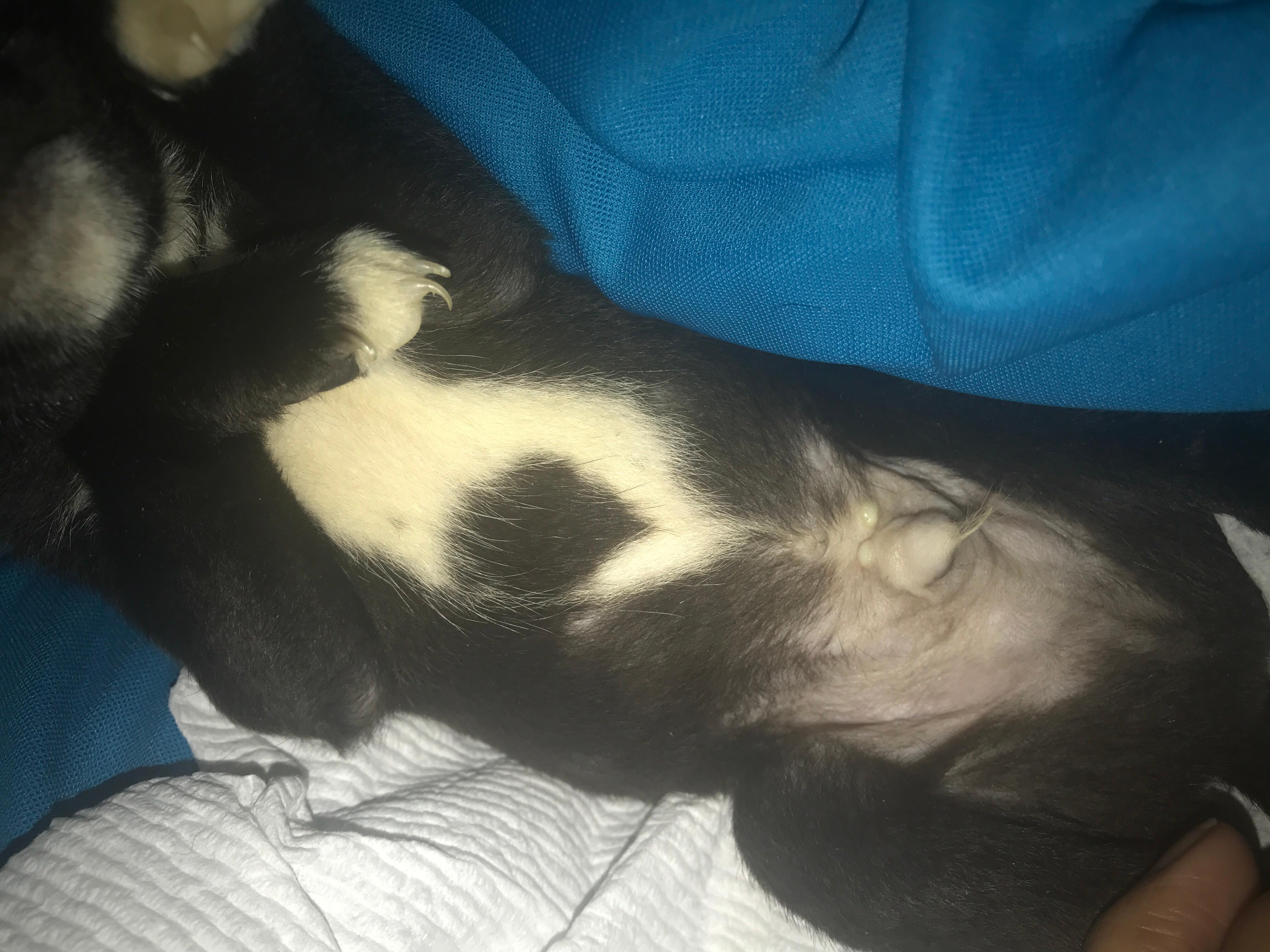 Question details sensitive content