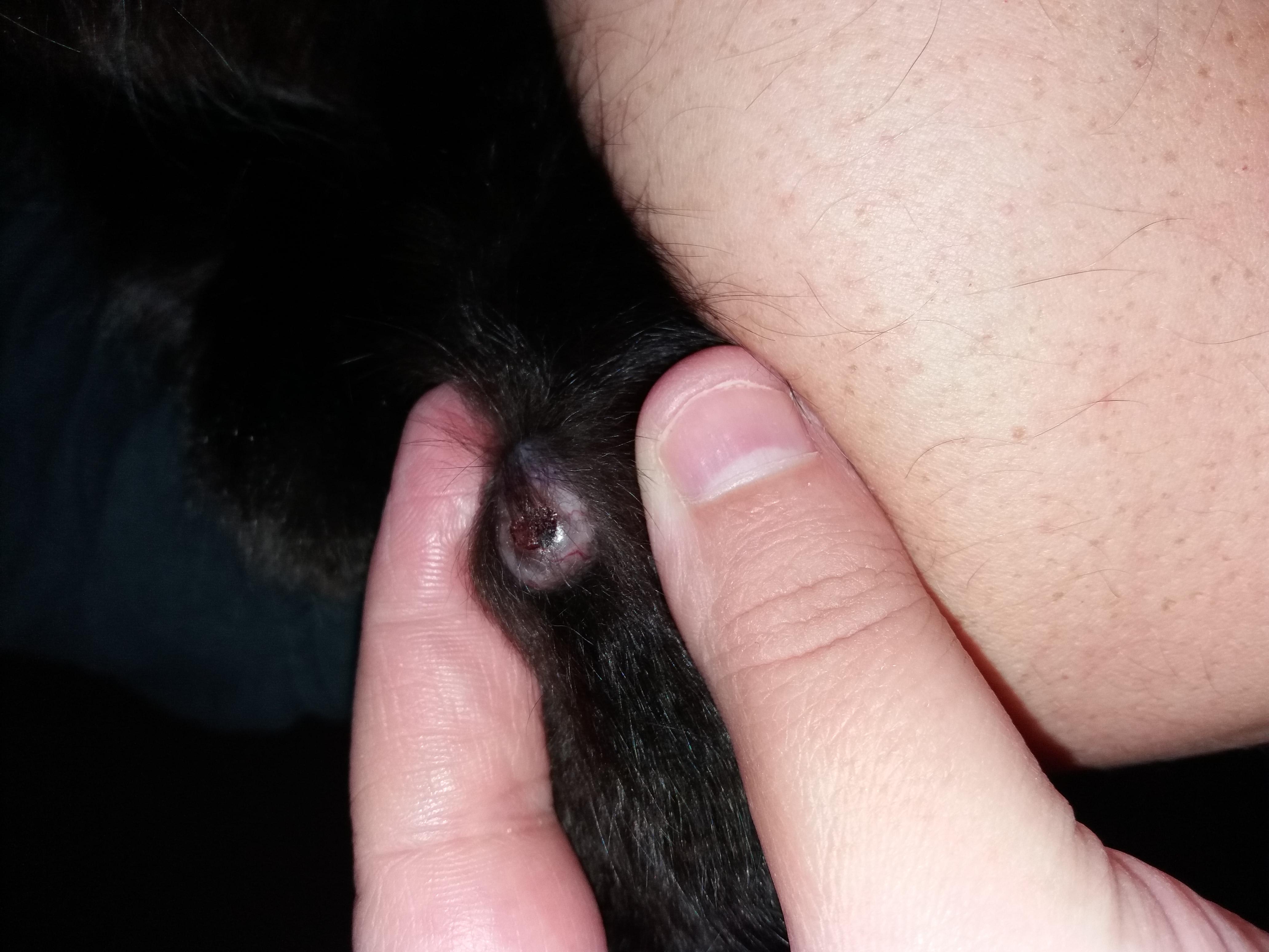 Question details sensitive content