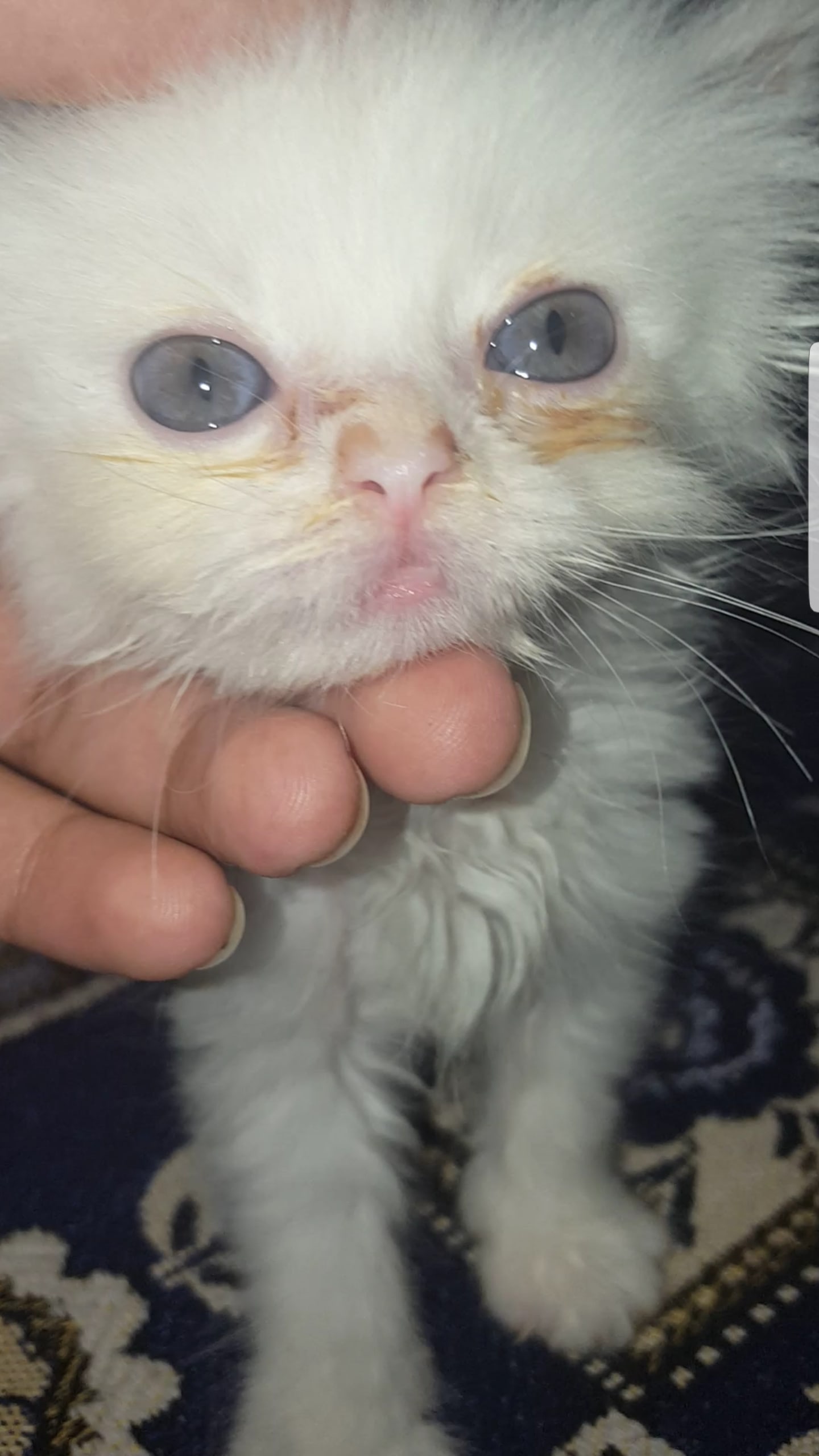 Question details sensitive content