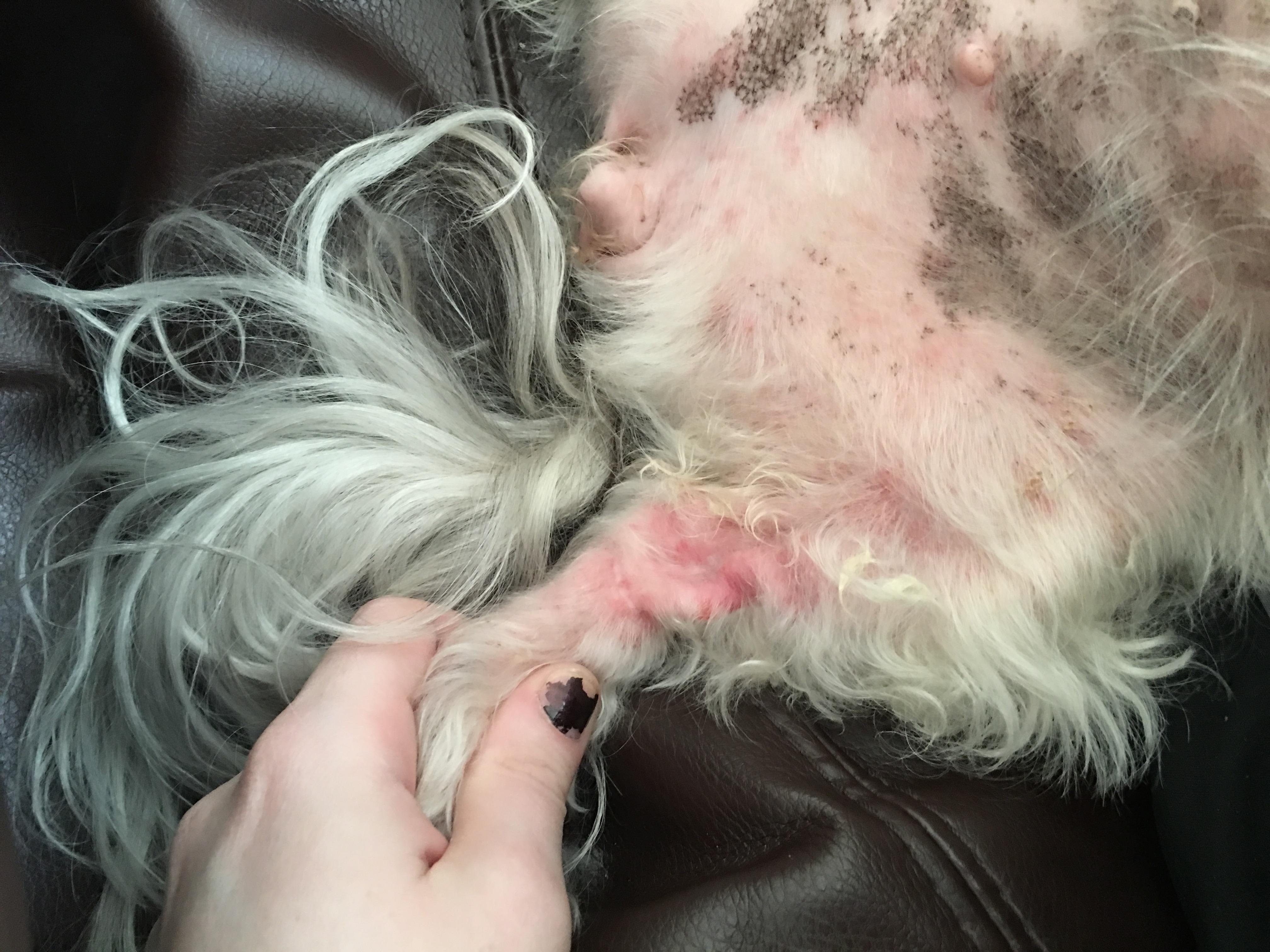 Question details sensitive content