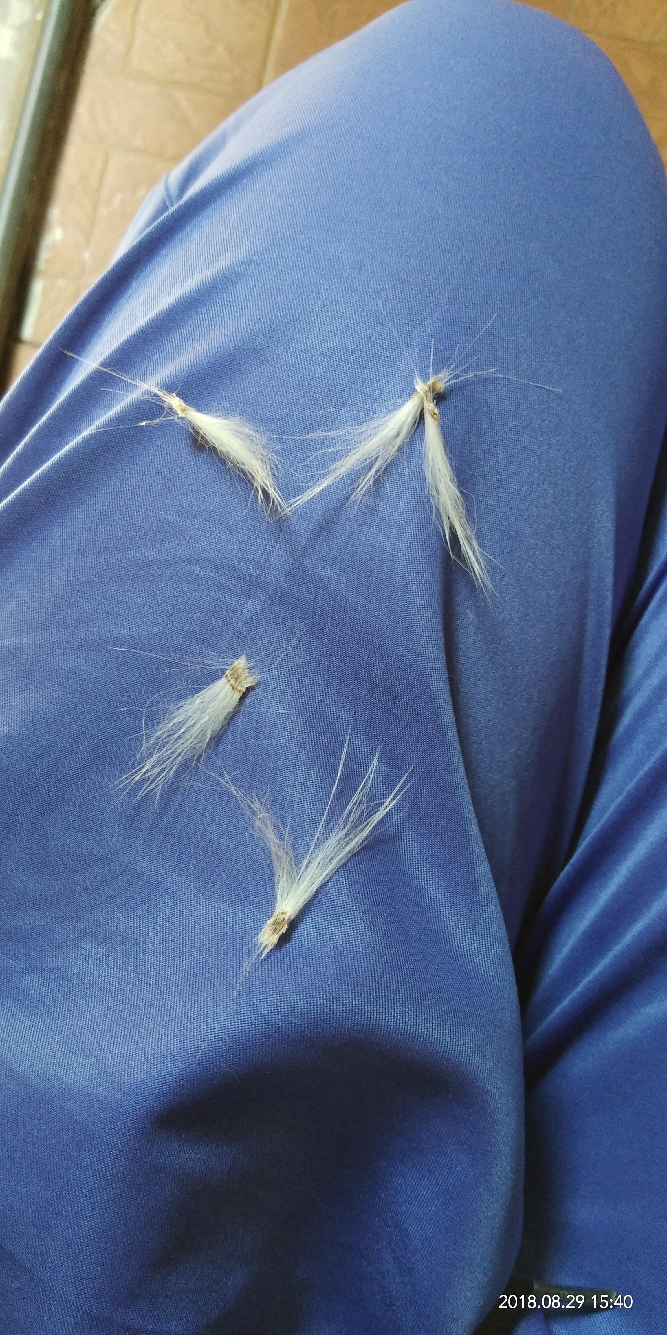 Question details sensitive content