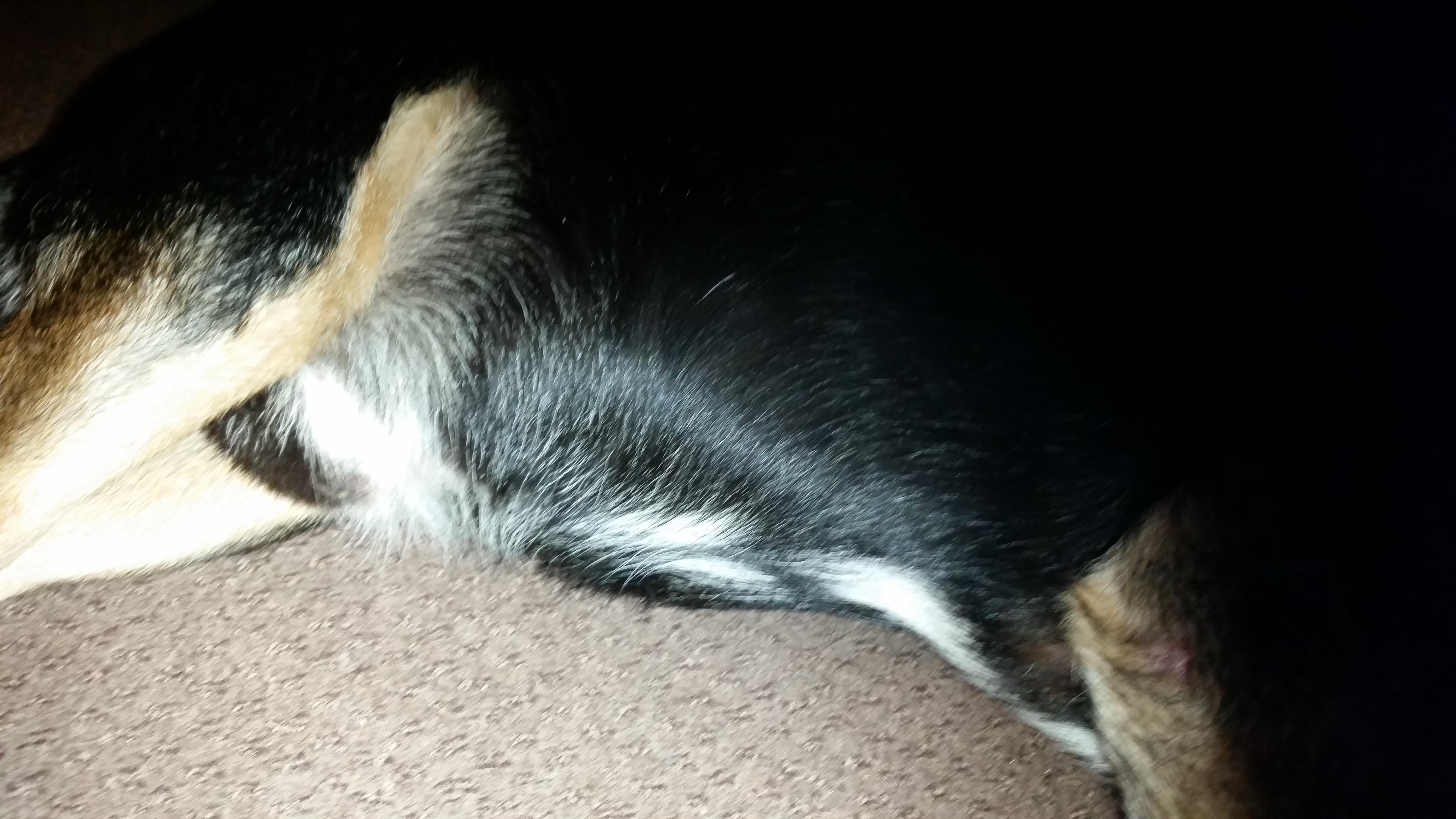 Question details sensitive content