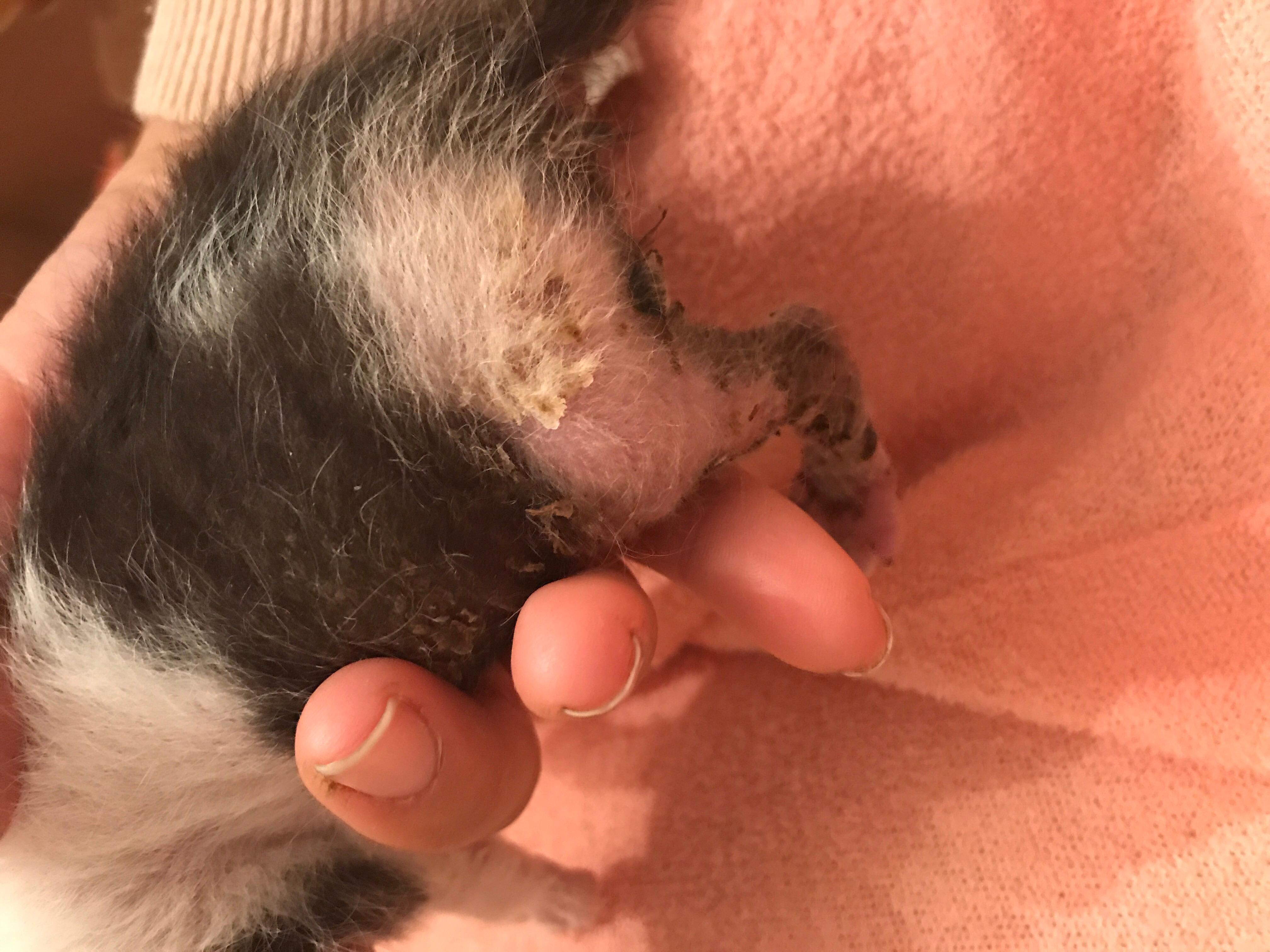 Question details sensitive content