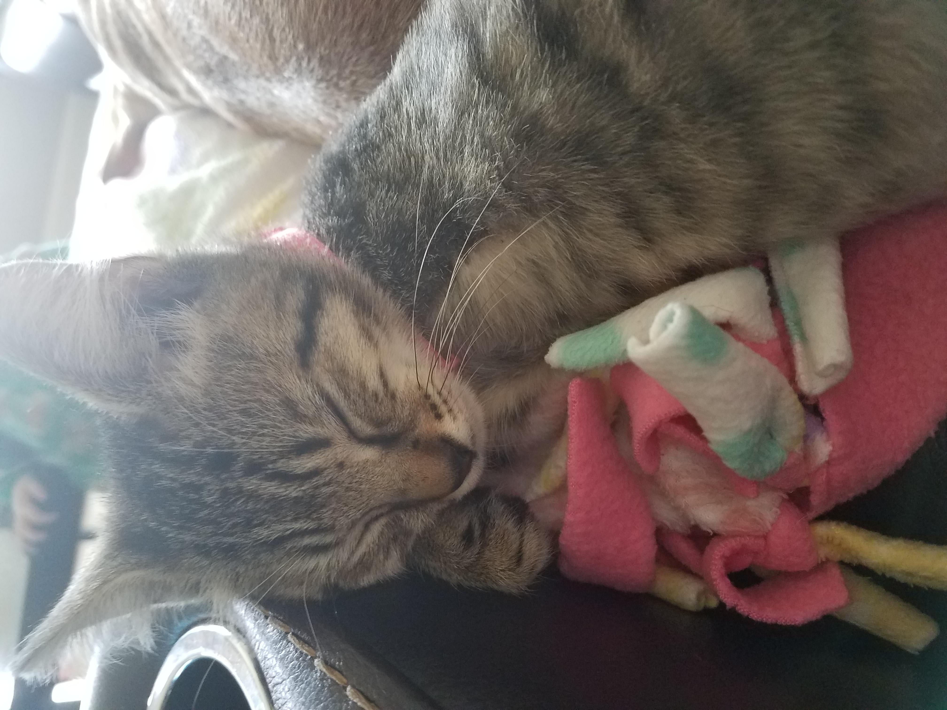 Question details sensitive content