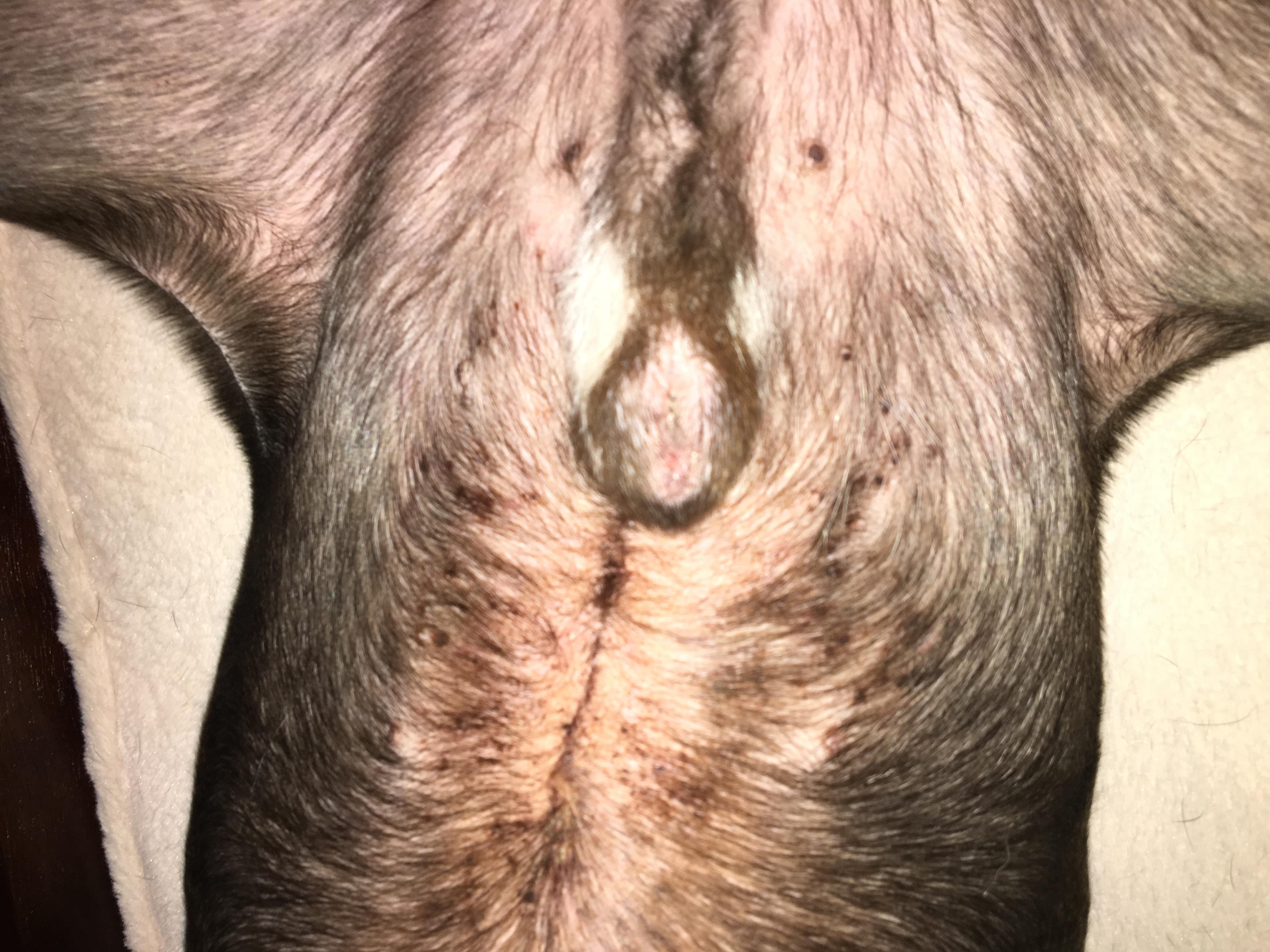 Question details sensitive content