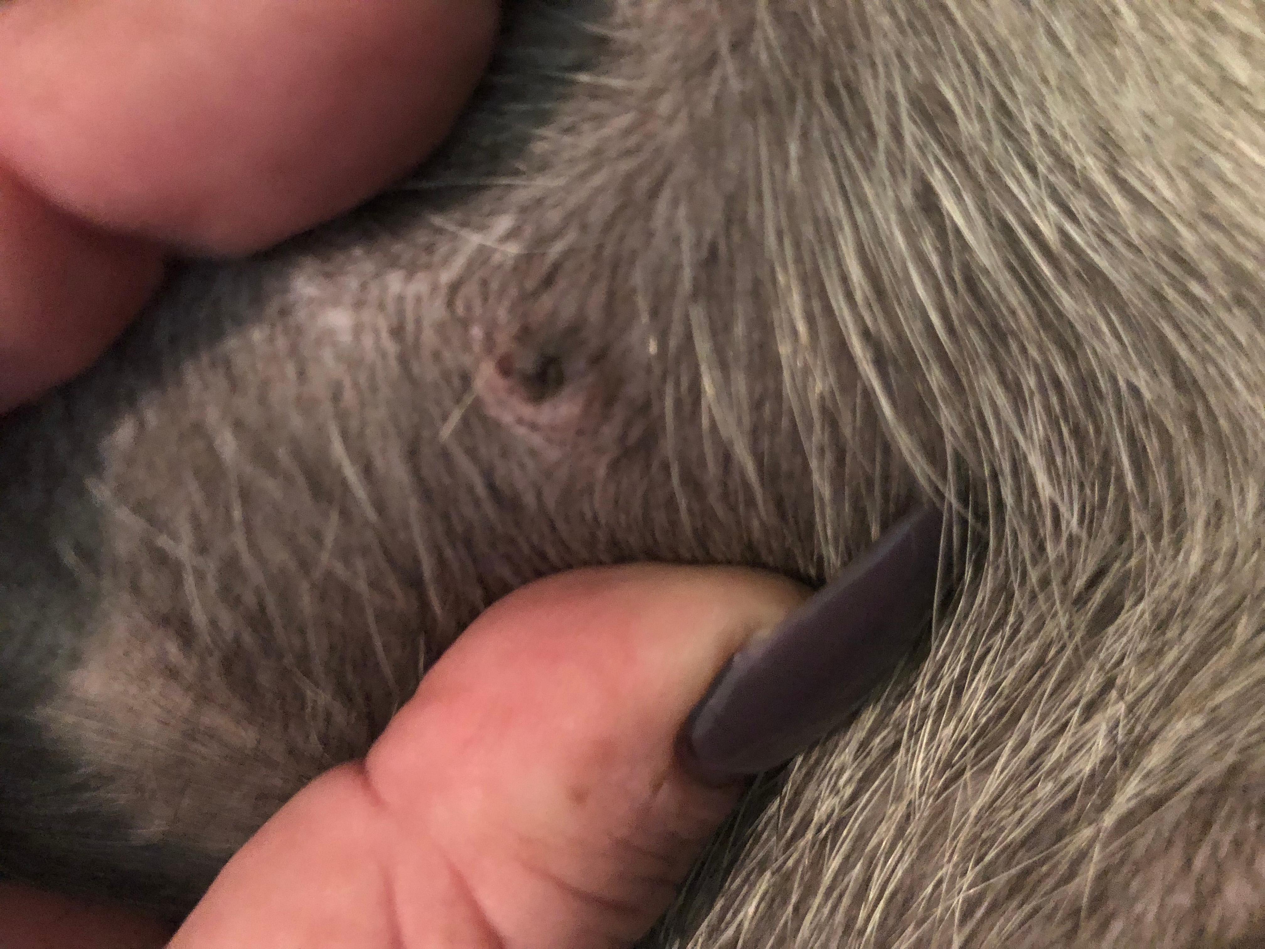 Question details sensitive content