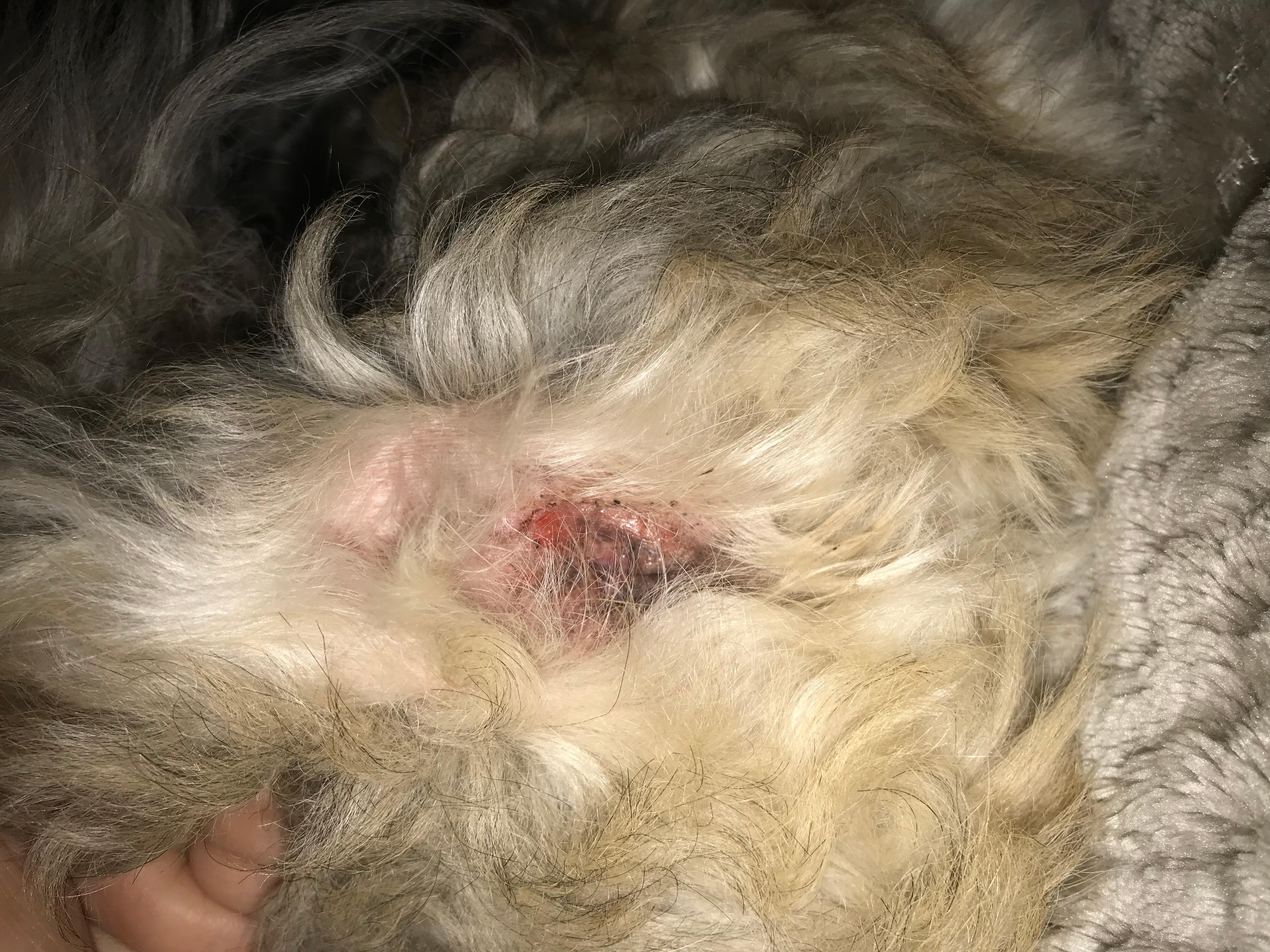 Question details sensitive content