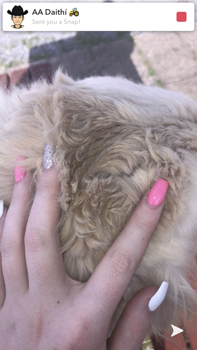 Question details sensitive content