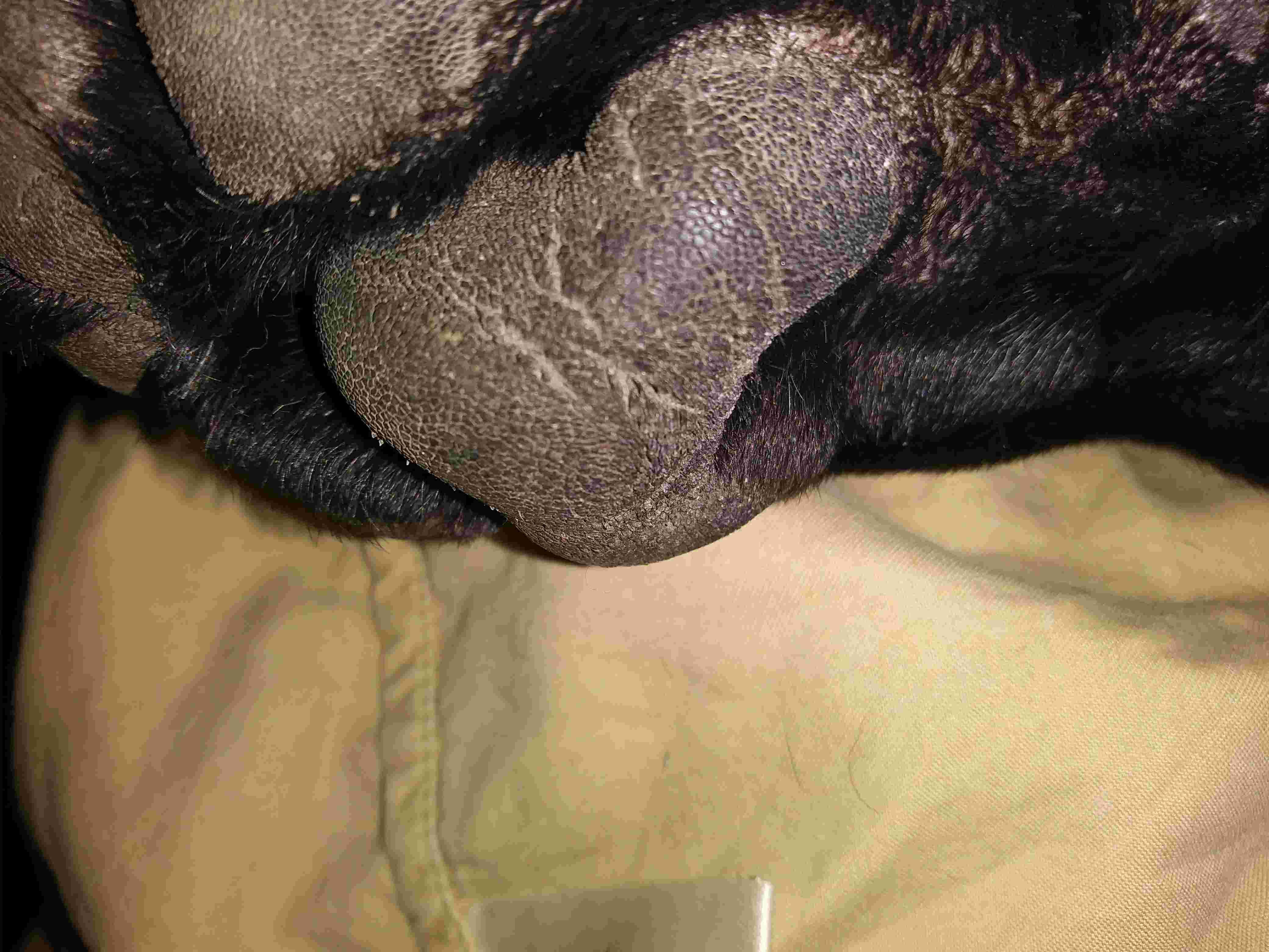 Question details sensitive content