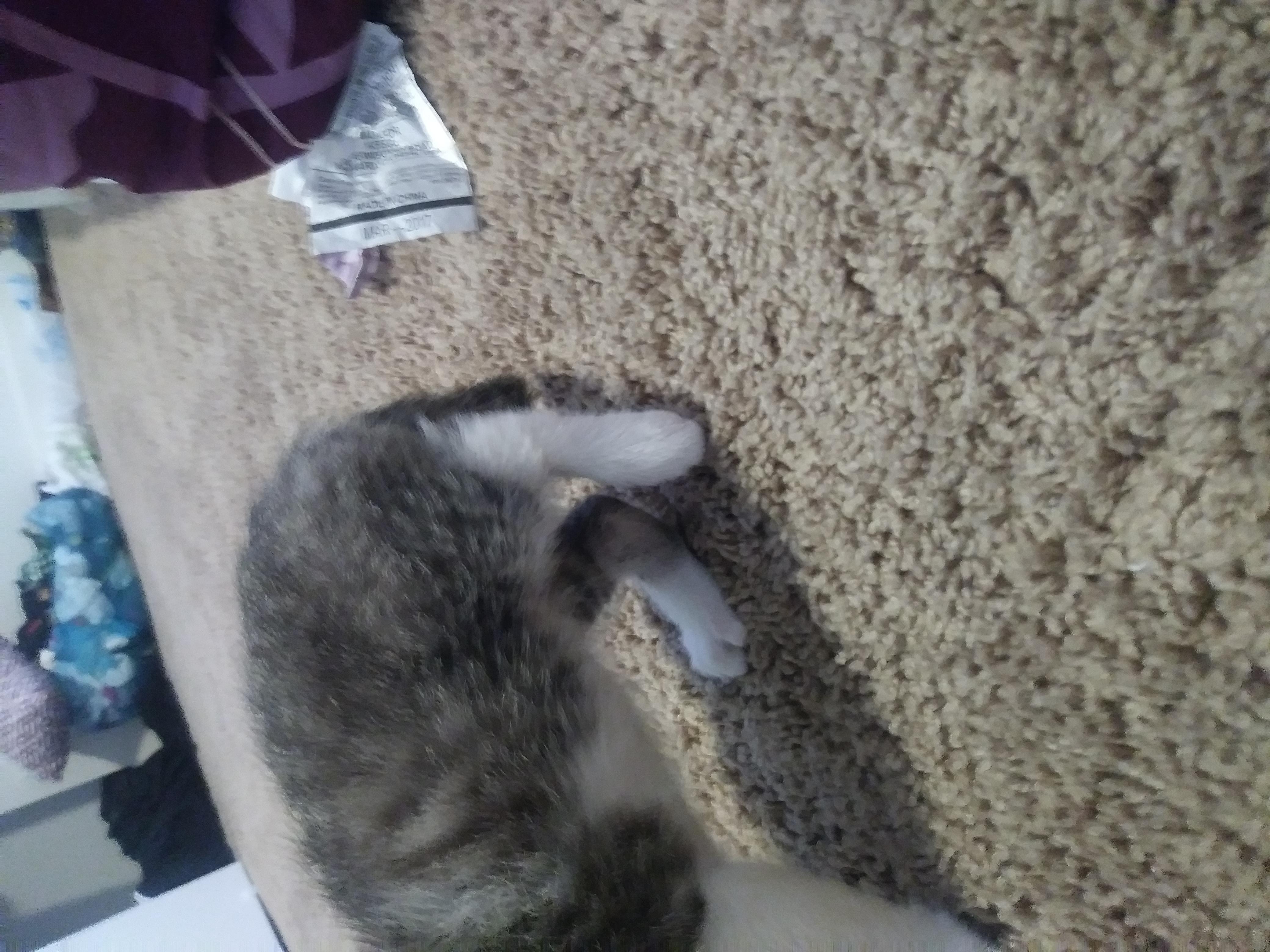 Question details sensitive content