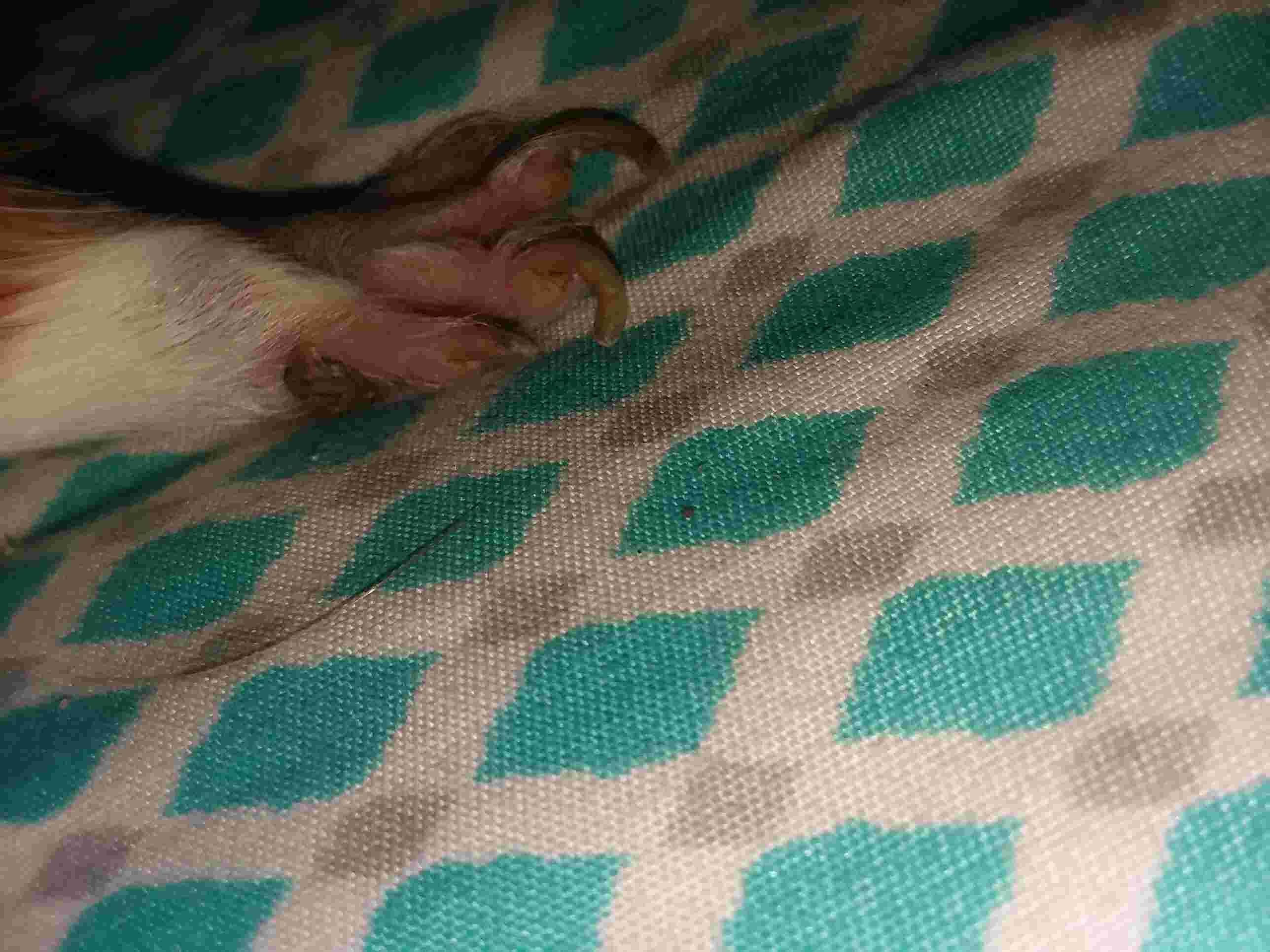 Question details sensitive content