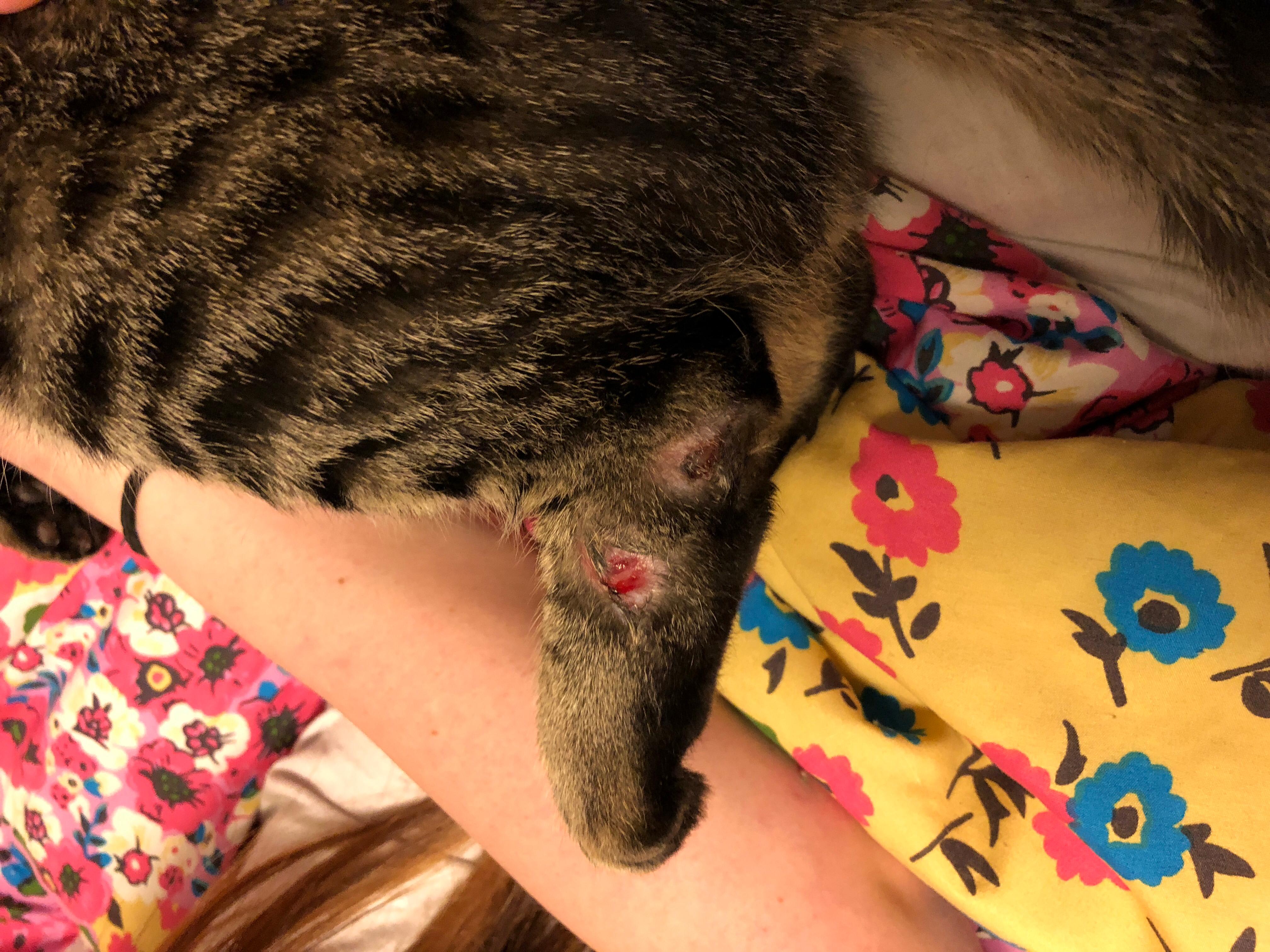 Question details sensitive content