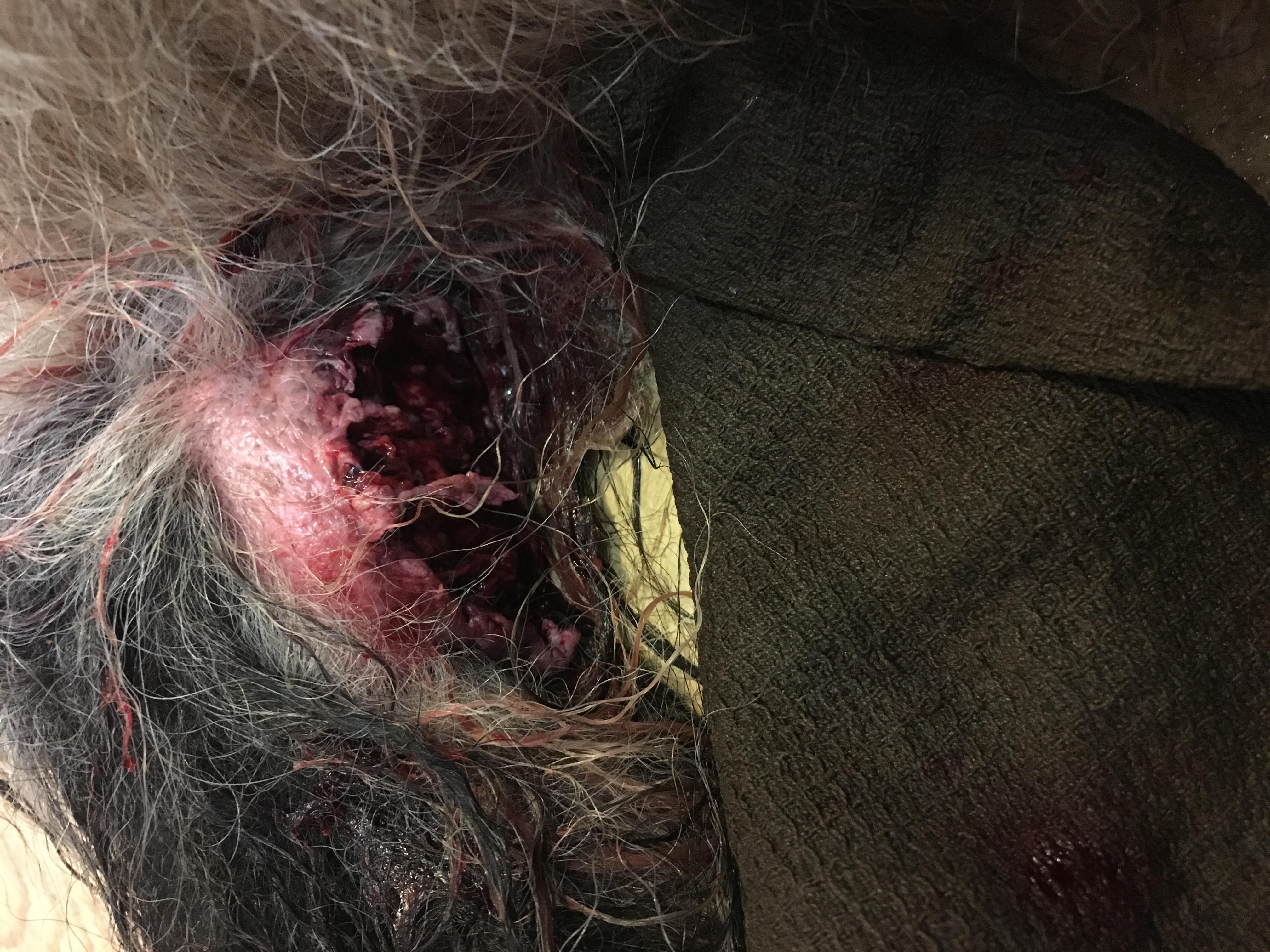 Question details sensitive content