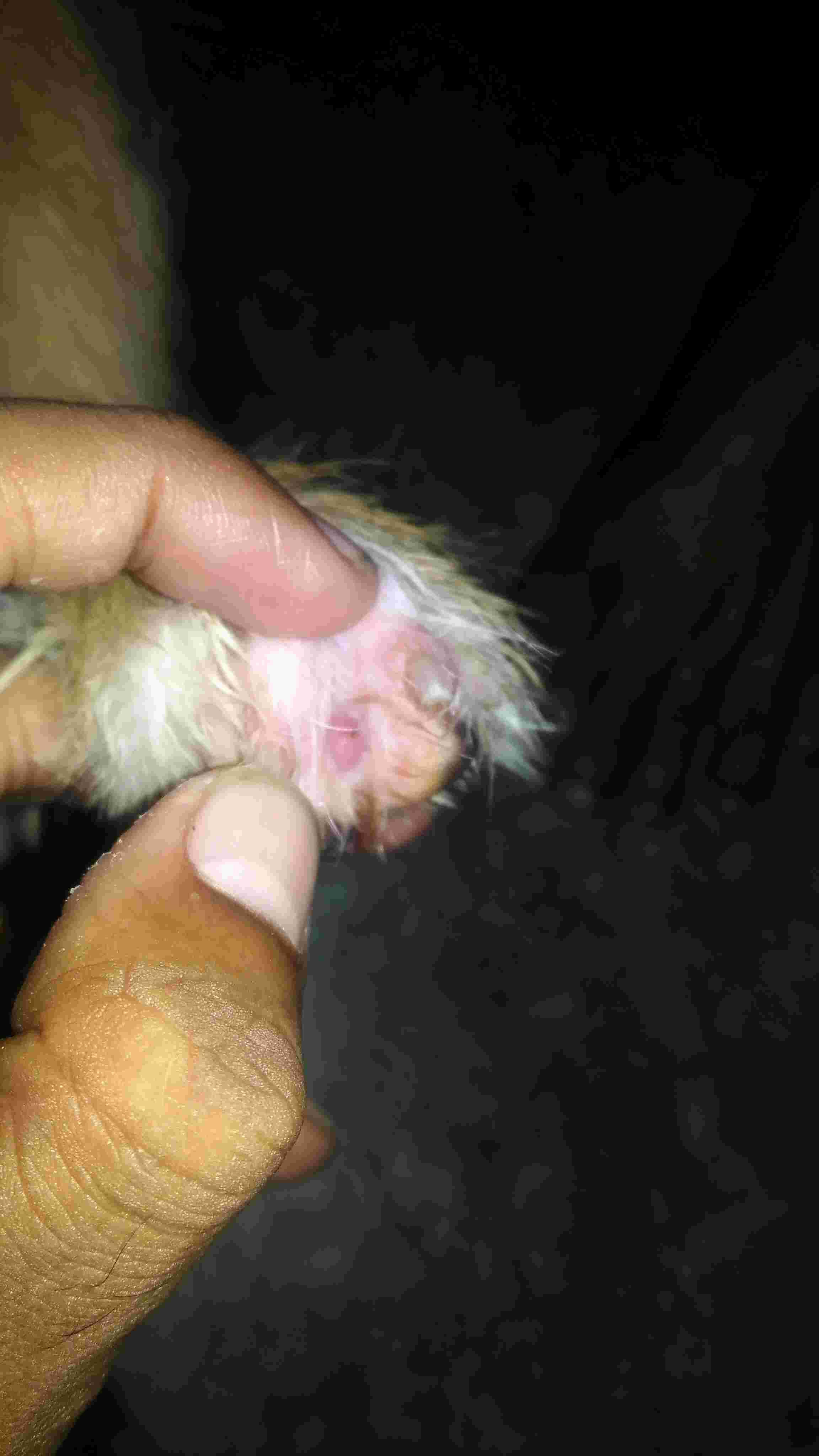 Question details sensitive content