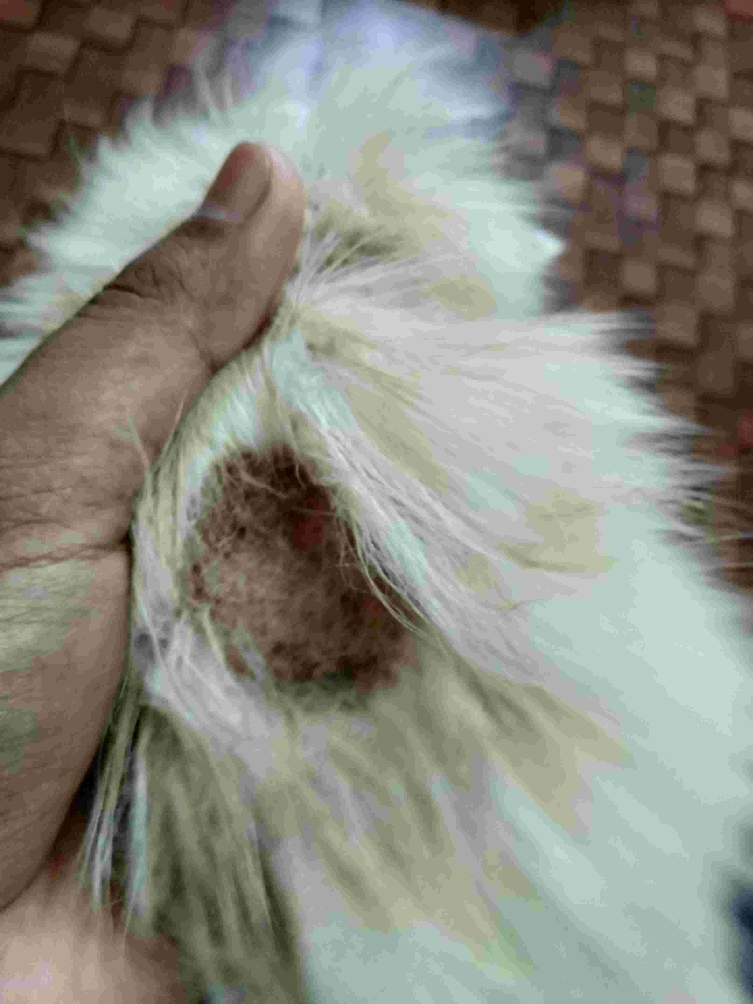 Question details sensitive content