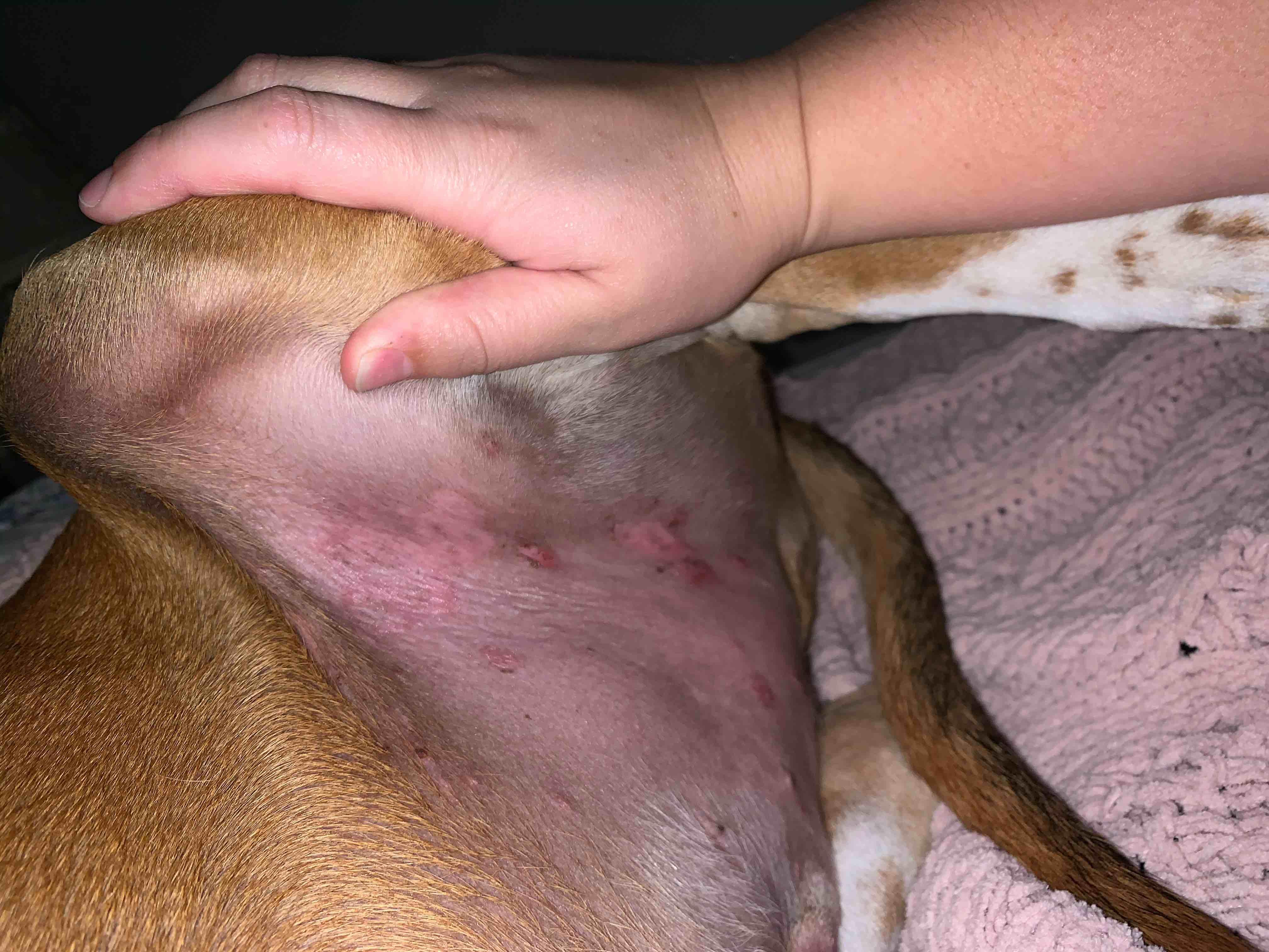 Question details sensitive content